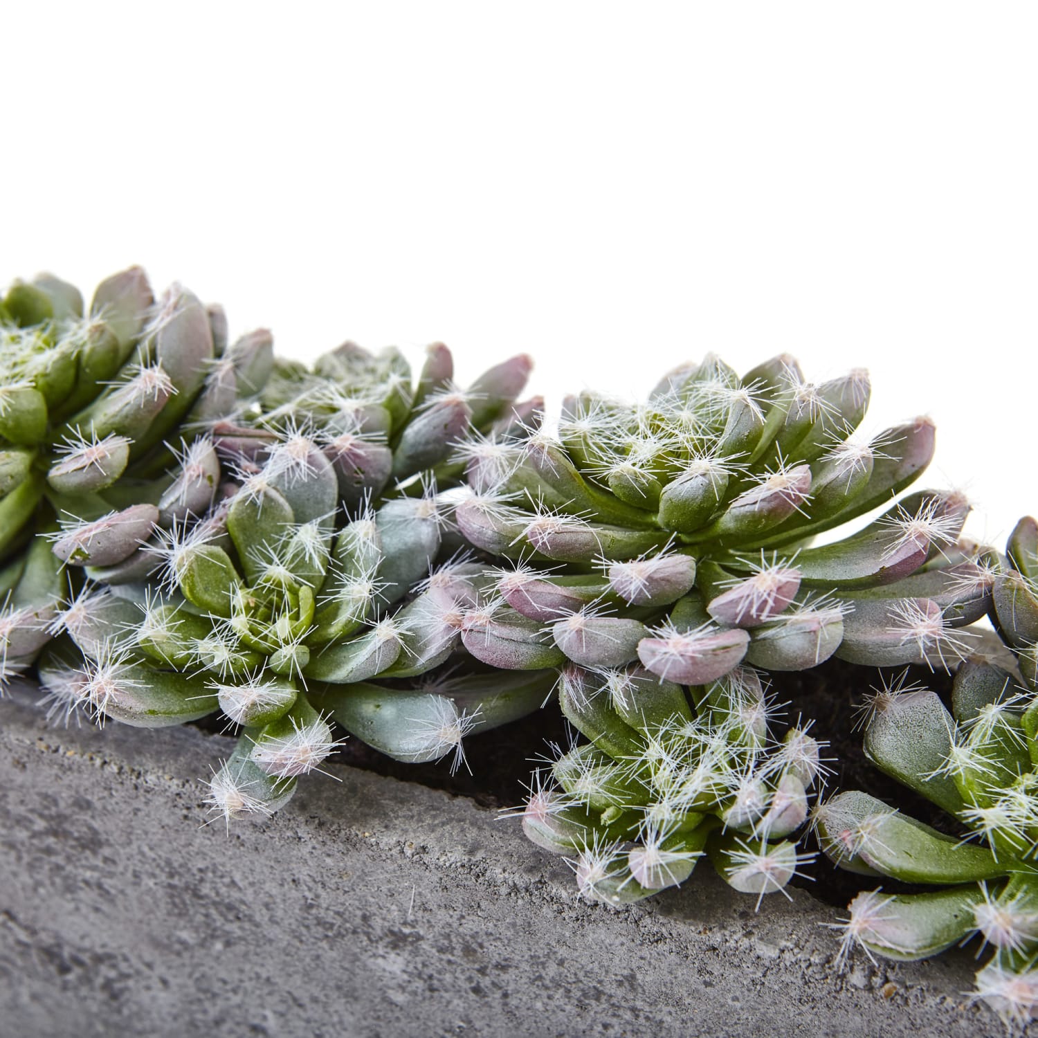Nearly Natural Succulent 5-1/2inH Plastic Garden With Textured Concrete Planter, 5-1/2inH x 13-1/2inW x 4-1/2inD, Green - Image 5