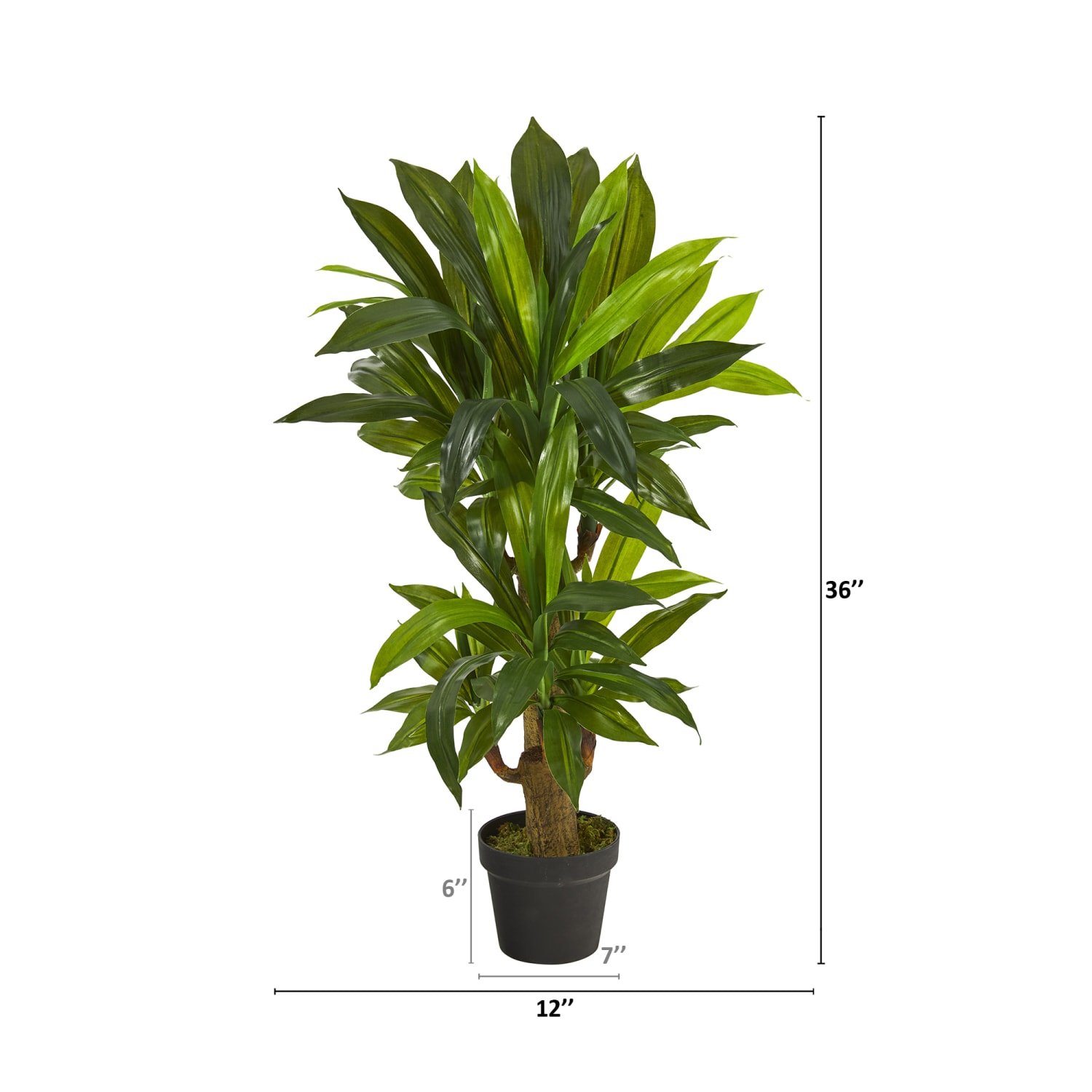 Nearly Natural Corn Stalk Dracaena 3'H Artificial Plant With Planter, 36inH x 12inW x 12inD, Green/Black - Image 3
