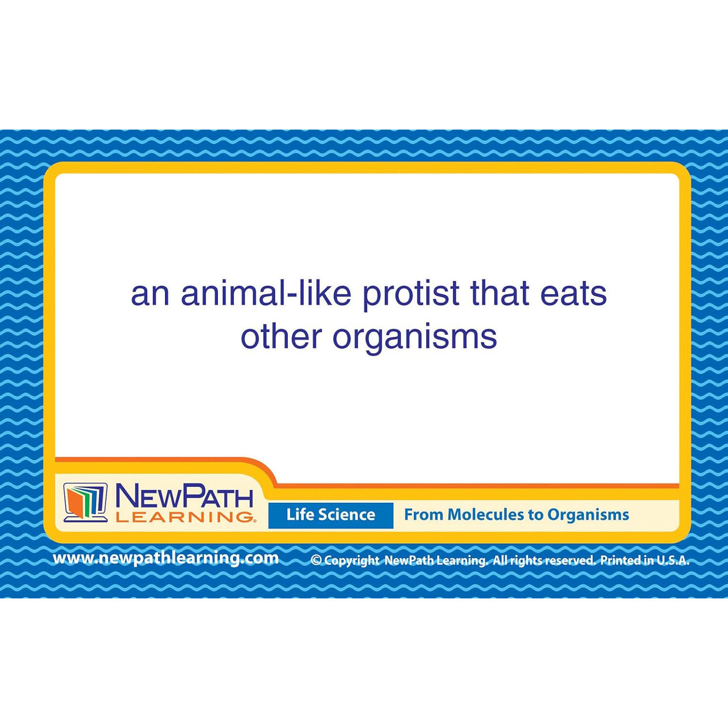 NewPath Learning Life Science Vocabulary Builder Flash Card Set, Middle School - Image 3