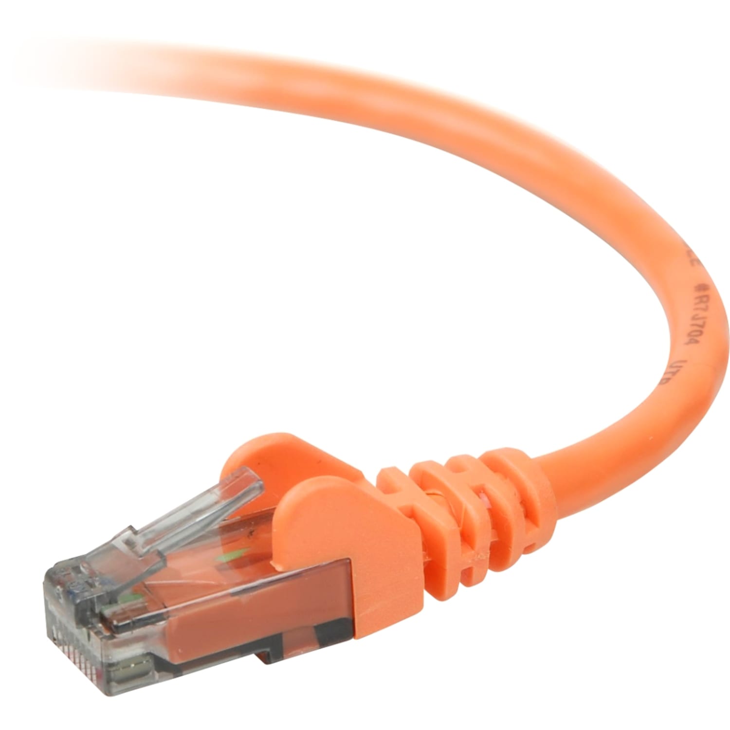 Belkin 900 Series Cat. 6 UTP Patch Cable - RJ-45 Male - RJ-45 Male - 3ft - Orange - Image 3