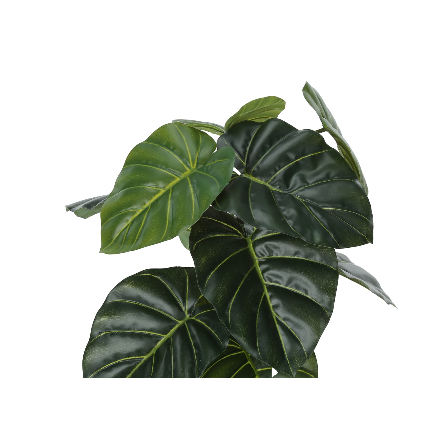 Monarch Specialties Mia 23-1/2inH Artificial Plant With Pot, 23-1/2inH x 20inW x 20inD, Green - Image 6