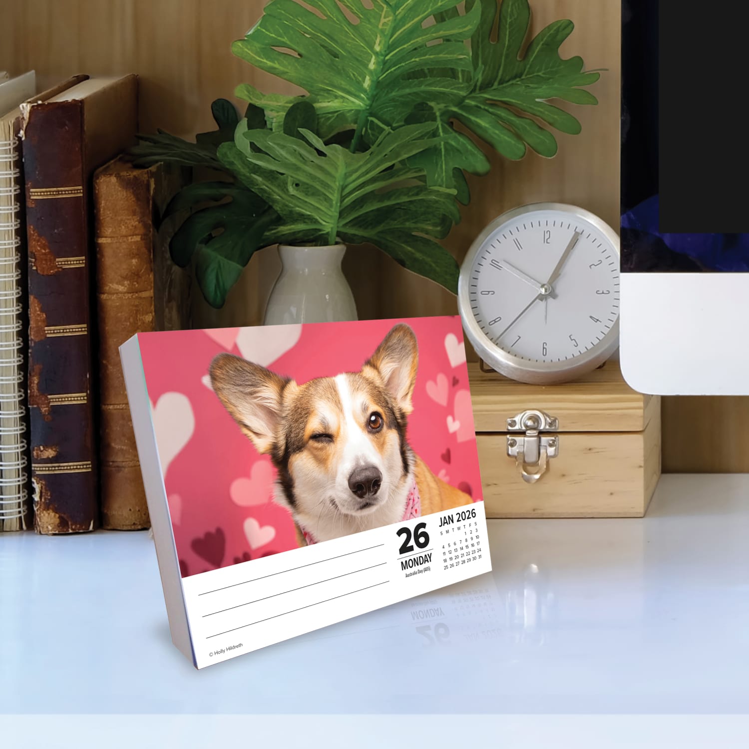 2026 Willow Creek Press Page-A-Day Daily Desk Calendar, 6-1/4in x 5-1/2in, Corgis, January To December, 54079 - Image 3