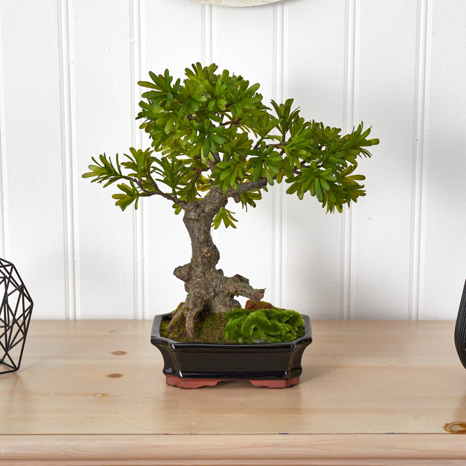 Nearly Natural Podocarpus 14inH Plastic Plant With Mossed Bonsai Planter, 14inH x 14inW x 8-1/2inD, Green - Image 4