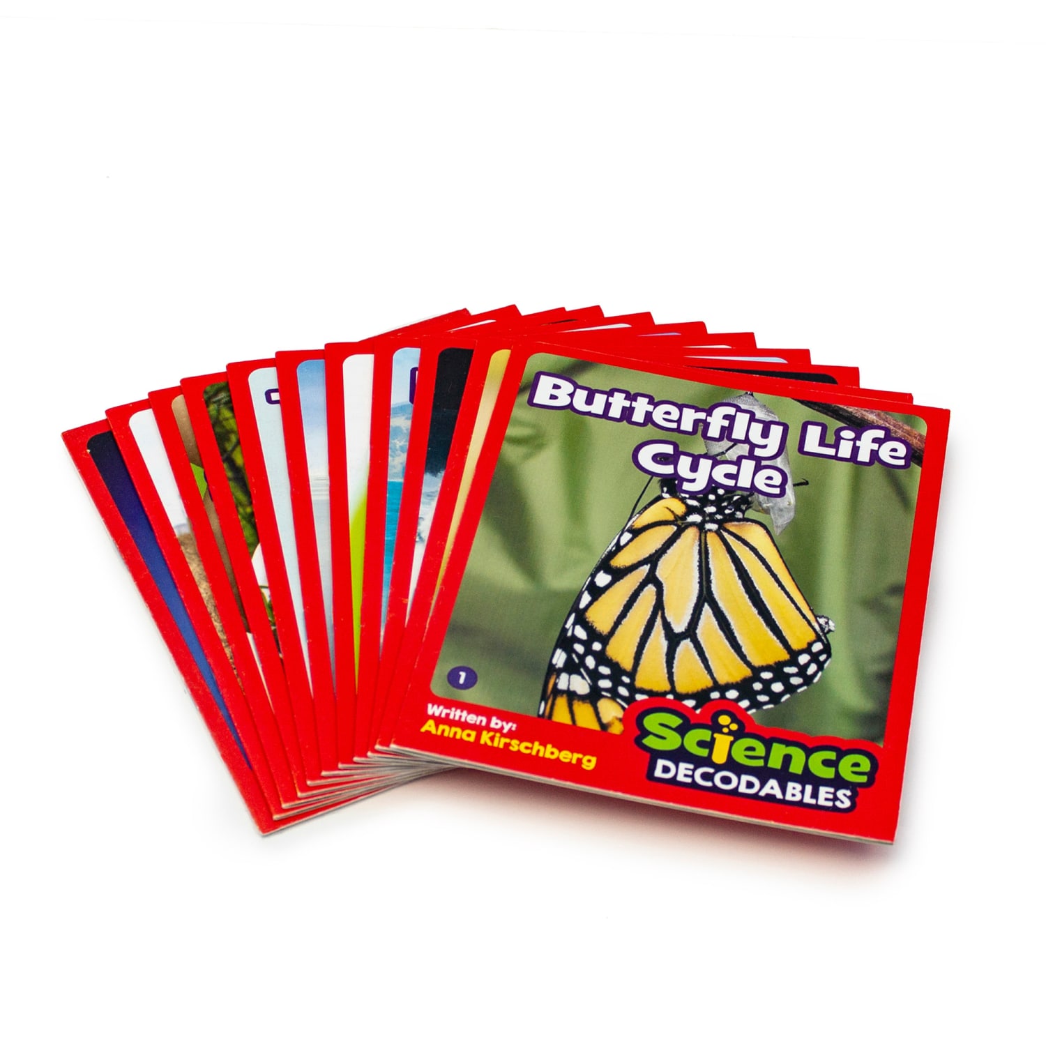 Beanstalk Books Non-Fiction Books, Science Decodables Phase 6, 7-8/"H x 6-3/4inW x 6-3/4inD, Set Of 12 Books - Image 3