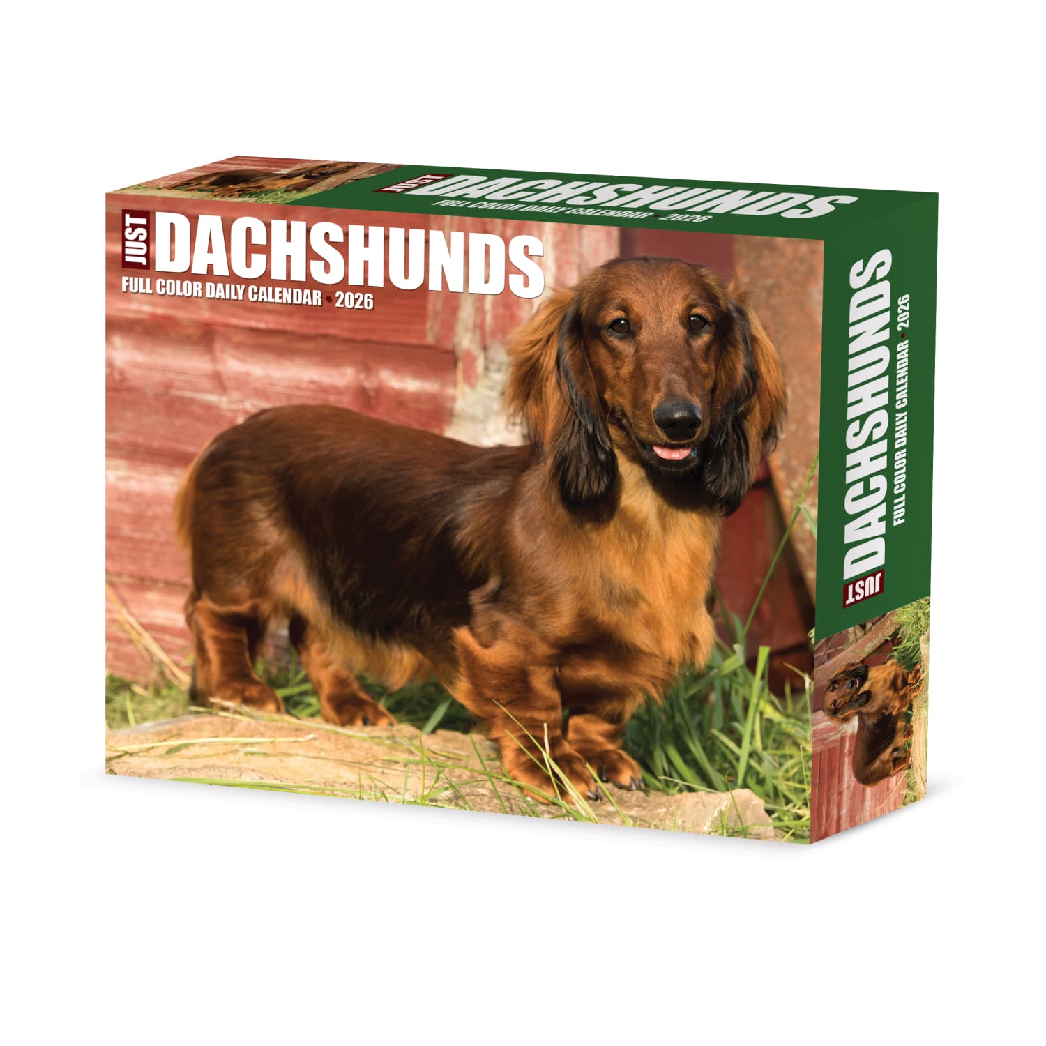 2026 Willow Creek Press Page-A-Day Daily Desk Calendar, 6-1/4in x 5-1/2in, Dachshunds, January To December, 54093 - Image 3