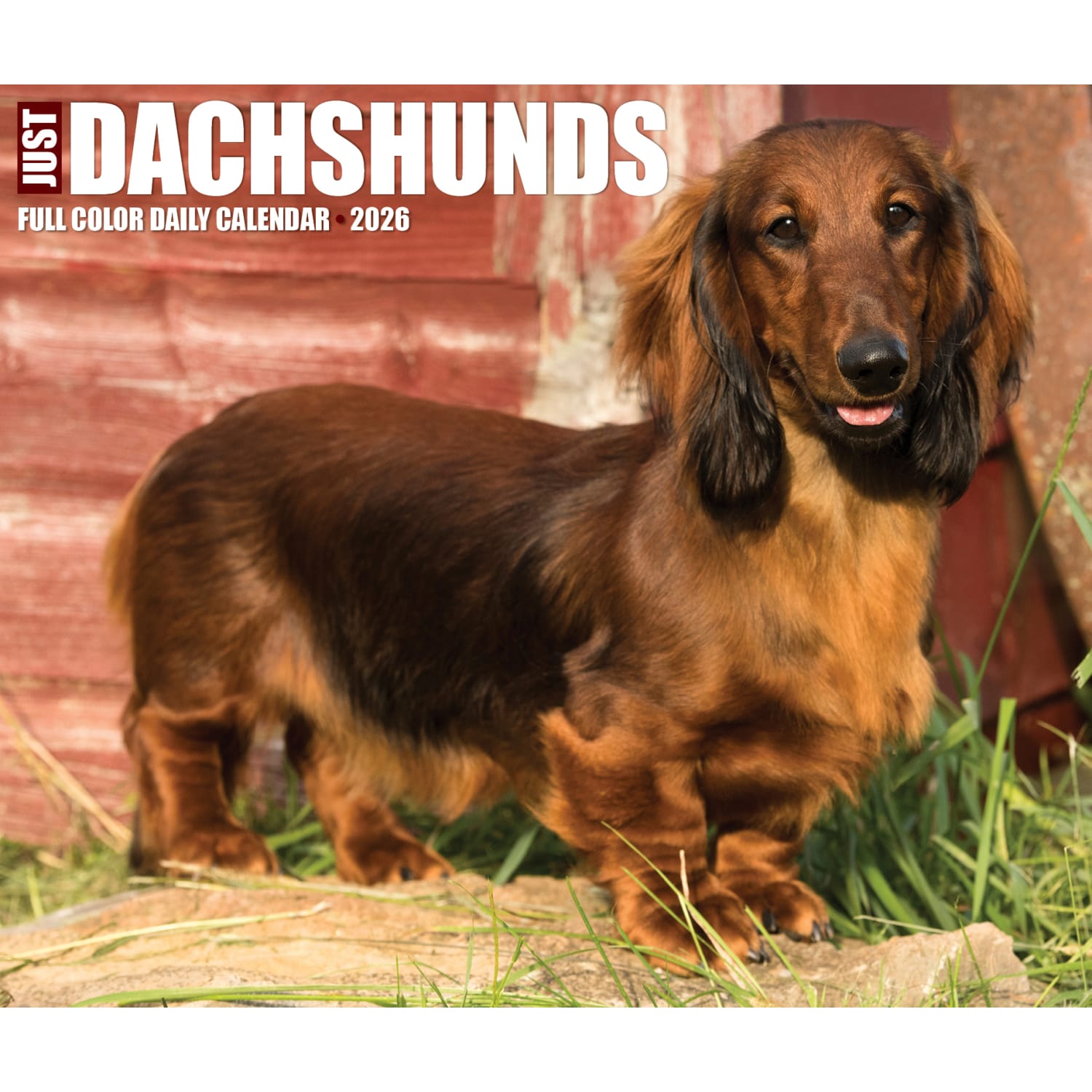 2026 Willow Creek Press Page-A-Day Daily Desk Calendar, 6-1/4in x 5-1/2in, Dachshunds, January To December, 54093 - Image 5