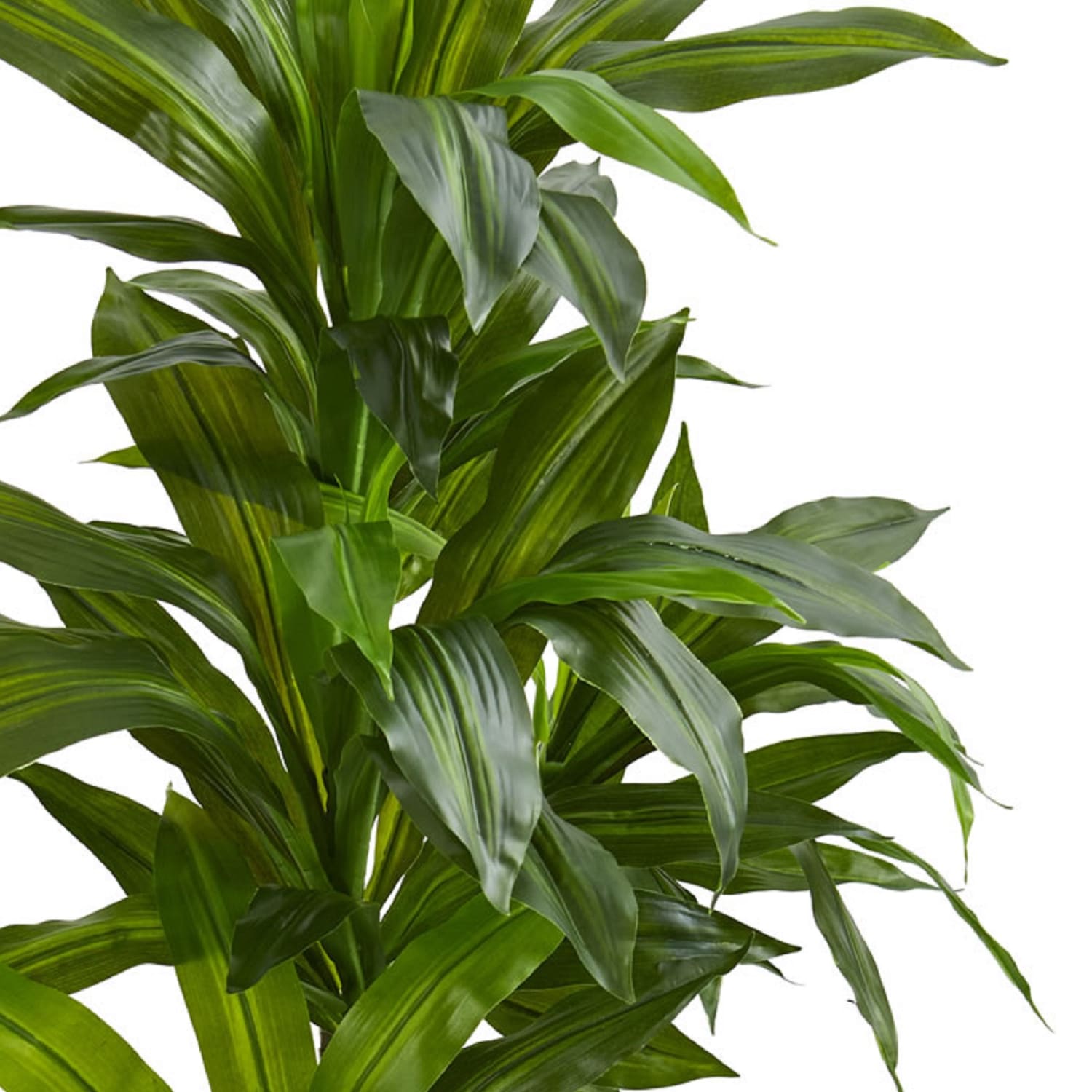 Nearly Natural Dracaena 48inH Artificial Real Touch Plant With Planter, 48inH x 18inW x 24inD, Green - Image 3