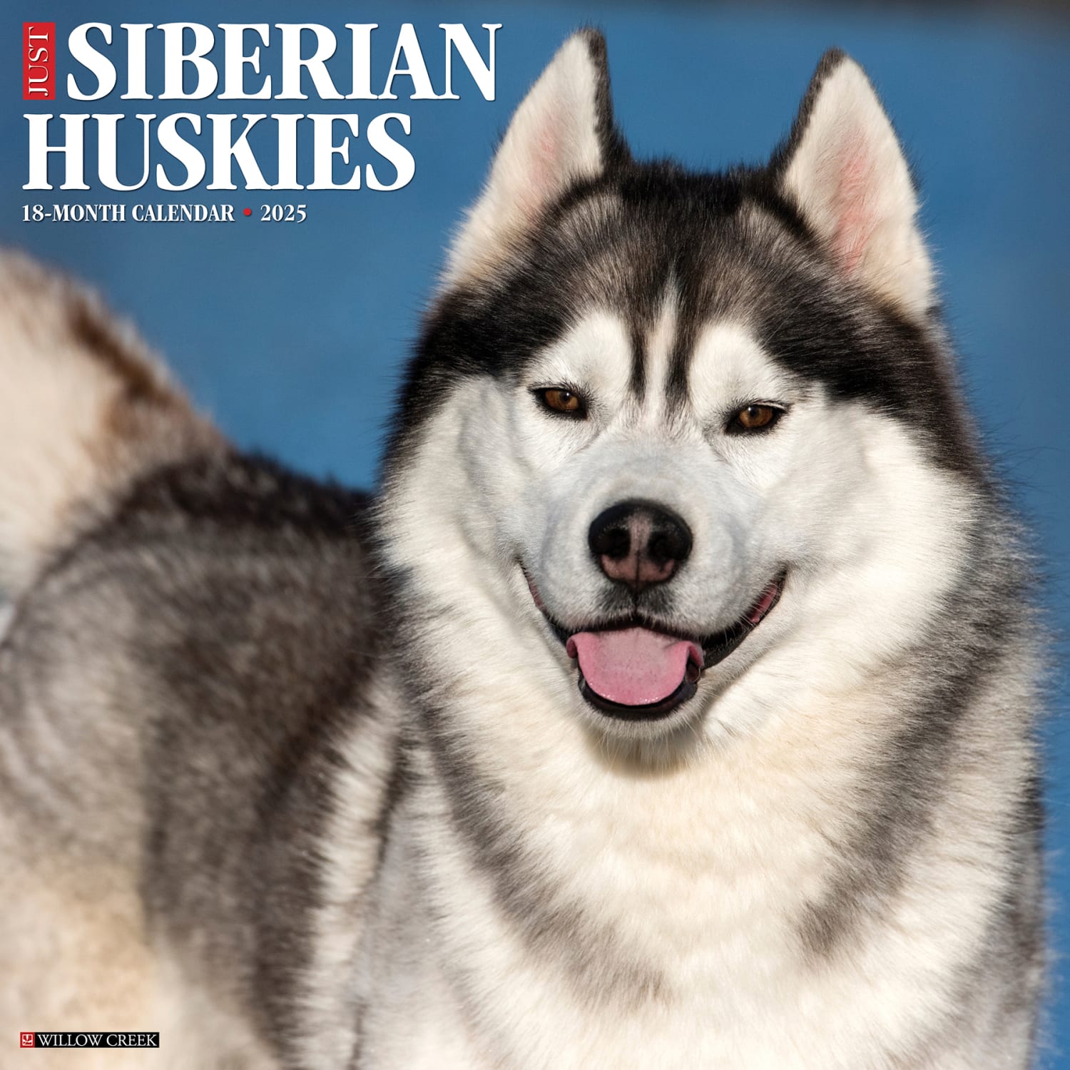 2025 Willow Creek Press Monthly Wall Calendar, 12in x 12in, Siberian Huskies, January 2025 to December 2025, 44896