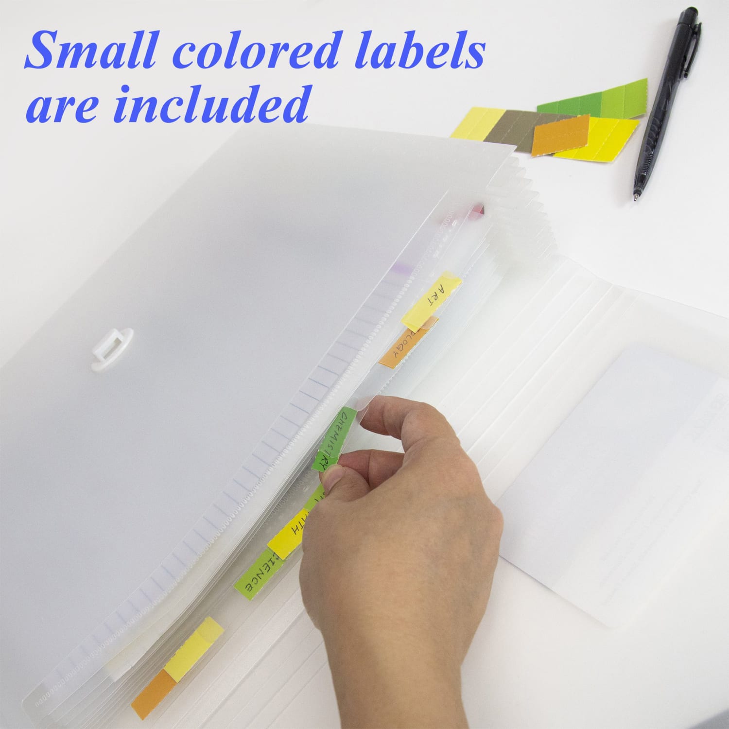 BAZIC Products Poly Expanding File, 13-Pocket, Letter Size, Translucent, Pack Of 3 - Image 4