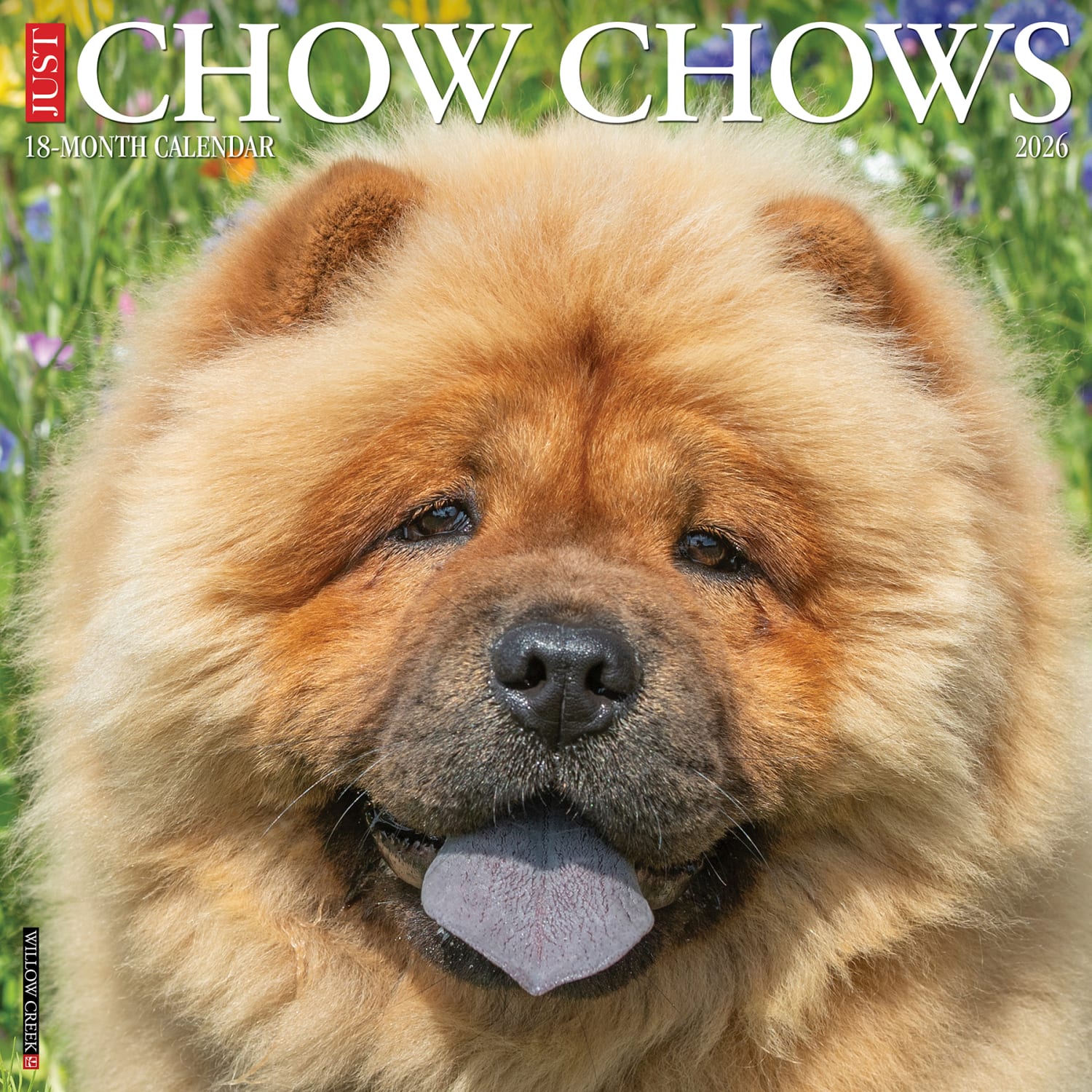 2026 Willow Creek Press Art & Design Monthly Wall Calendar, 12in x 12in, Chow Chows, January To December, 50712 - Image 3