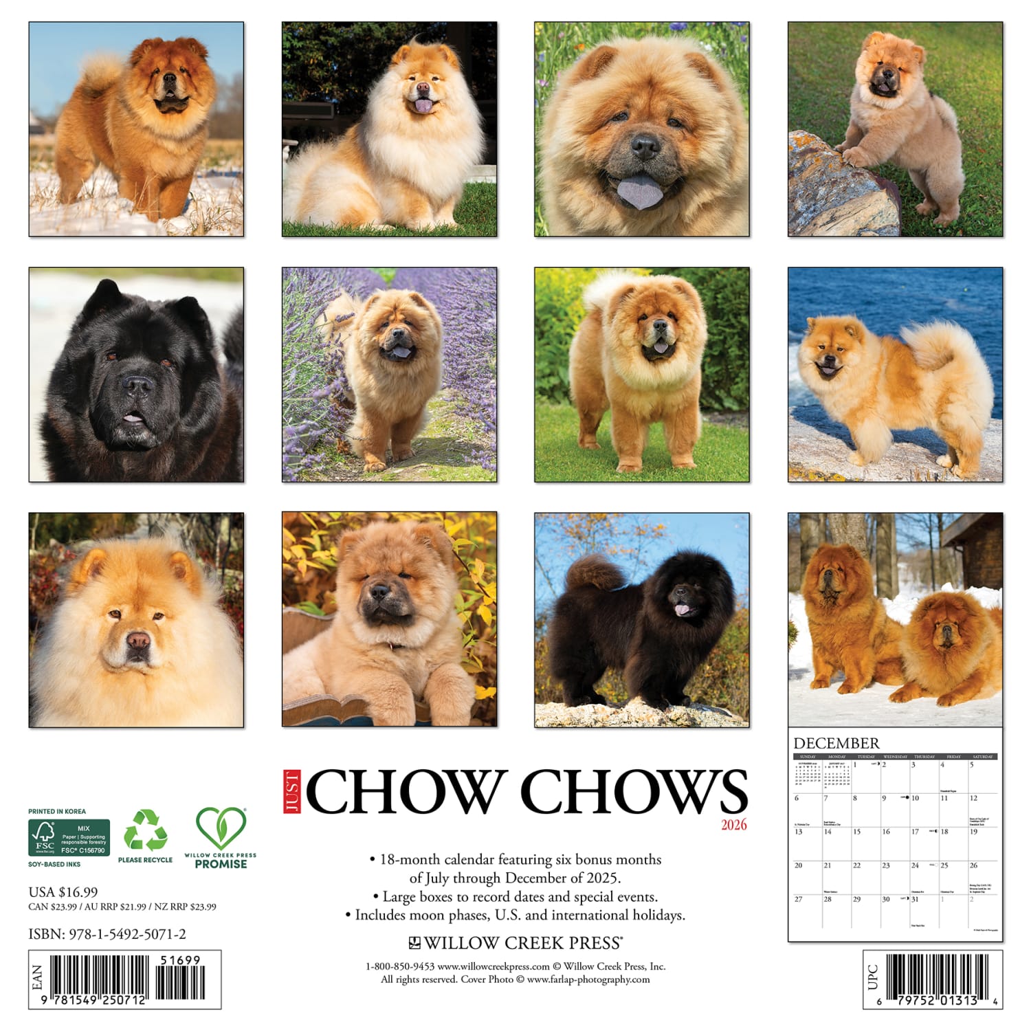 2026 Willow Creek Press Art & Design Monthly Wall Calendar, 12in x 12in, Chow Chows, January To December, 50712 - Image 6