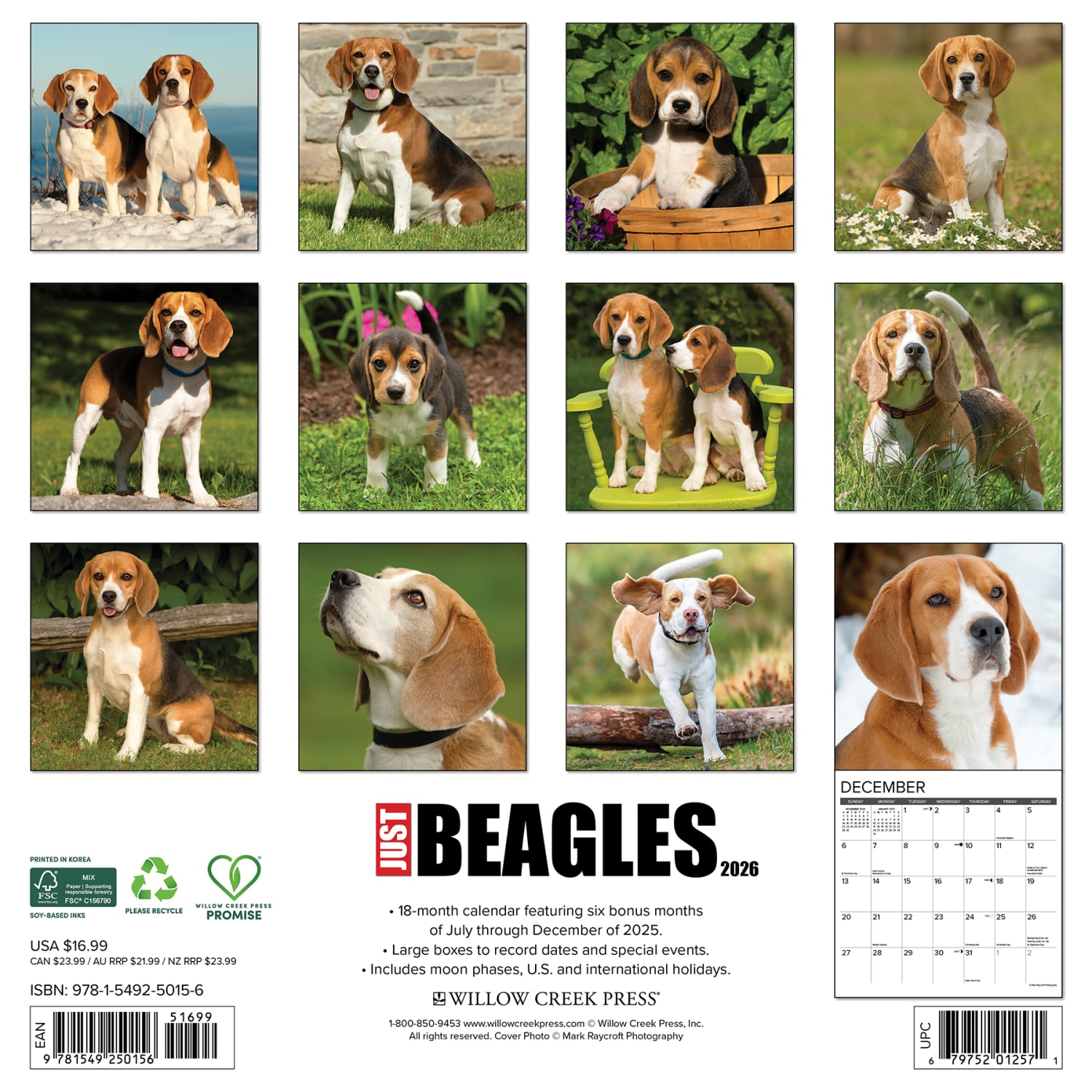 2026 Willow Creek Press Art & Design Monthly Wall Calendar, 12in x 12in, Beagles, January To December, 50156 - Image 6