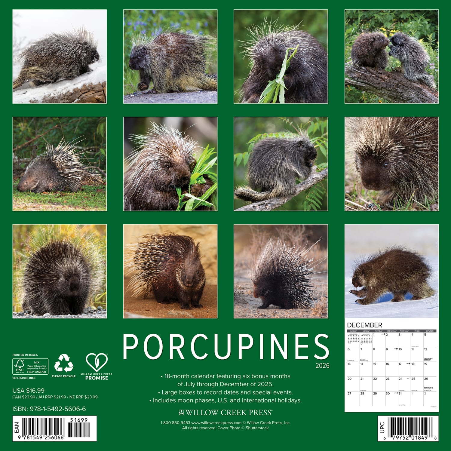 2026 Willow Creek Press Animals Monthly Wall Calendar, 12in x 12in, Porcupines, January To December, 56066 - Image 6
