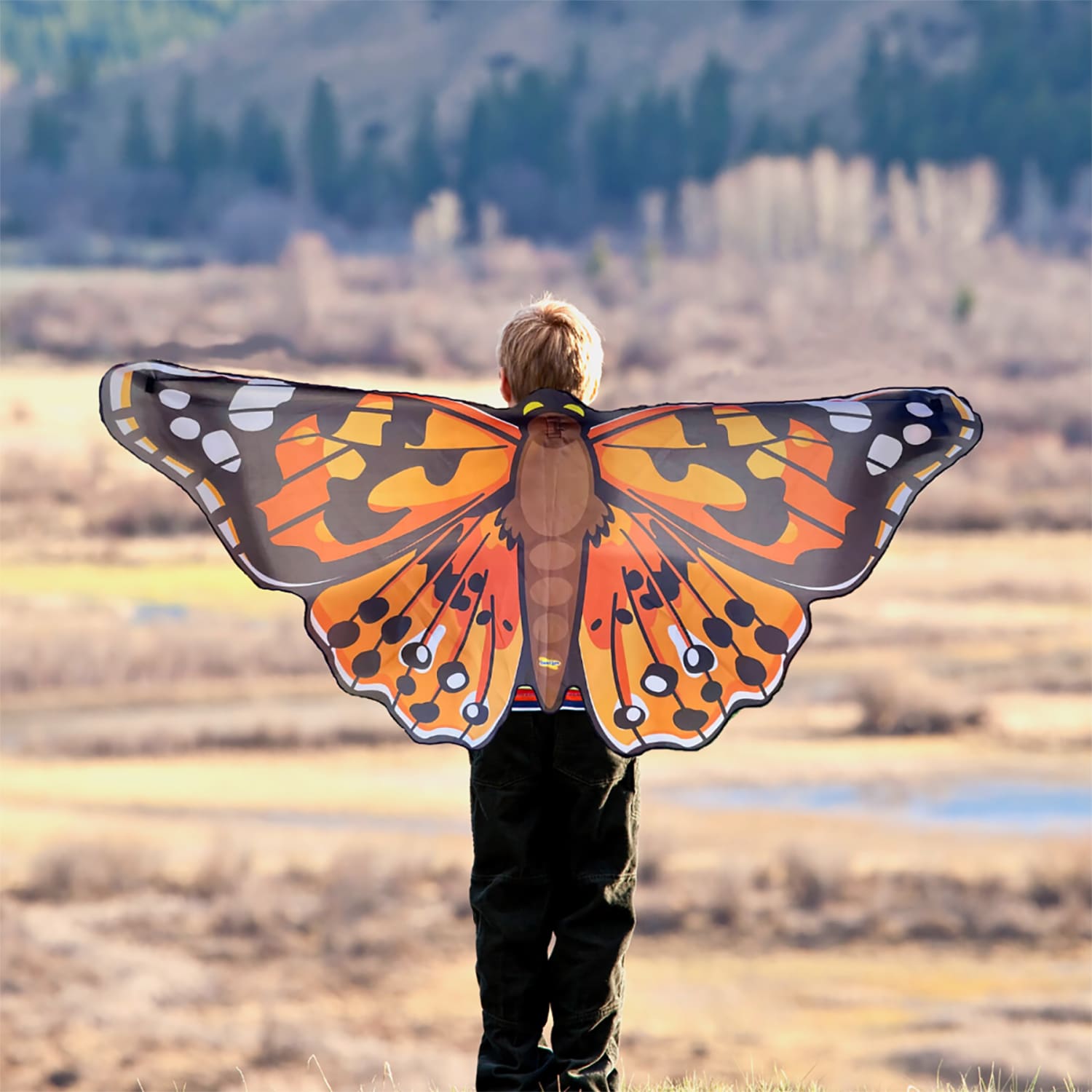 Insect Lore Dress-Up Butterfly Wing, Painted Ladys, Pack Of 3 - Image 6