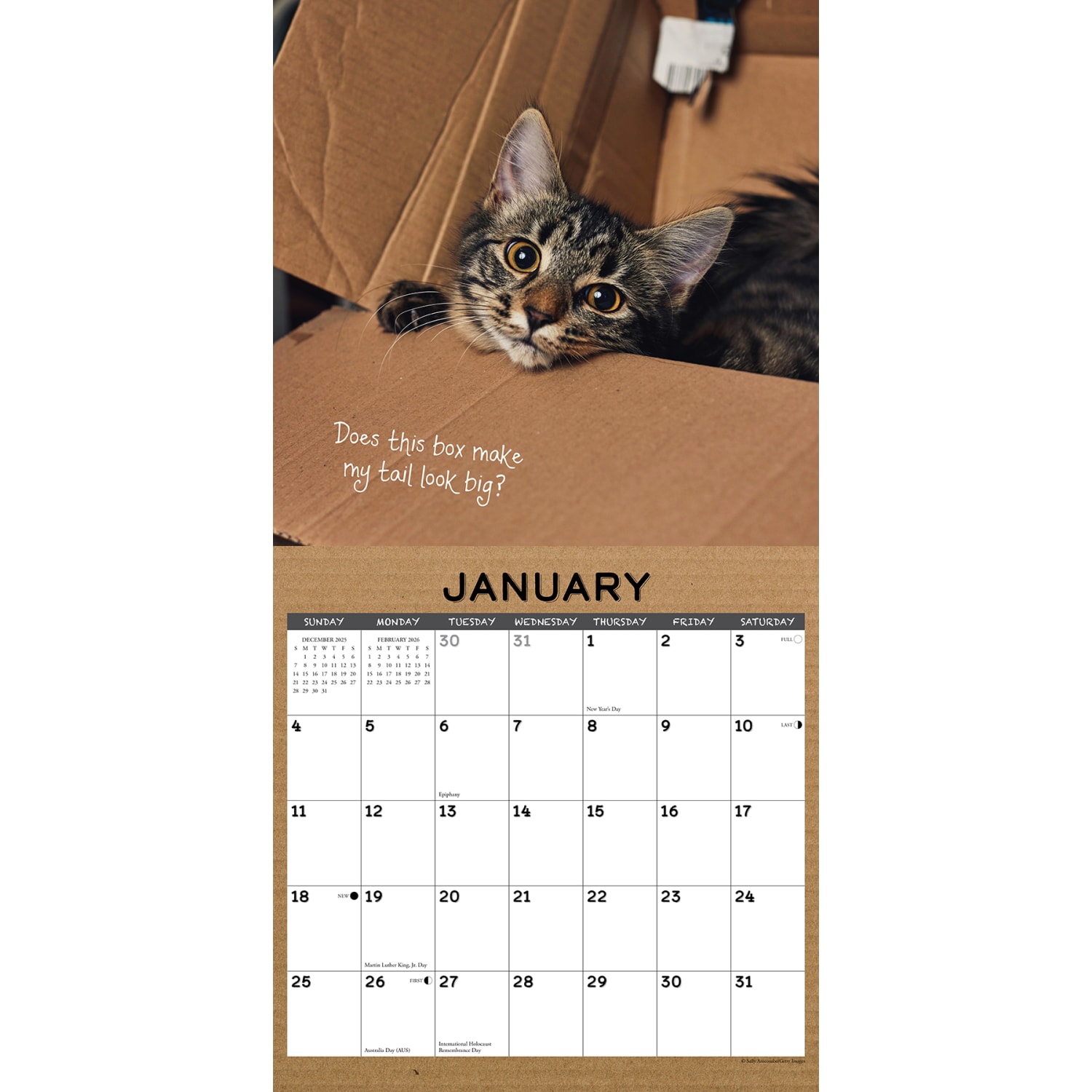 2026 Willow Creek Press Art & Design Monthly Wall Calendar, 12in x 12in, Cat in a Box, January To December, 50576 - Image 3