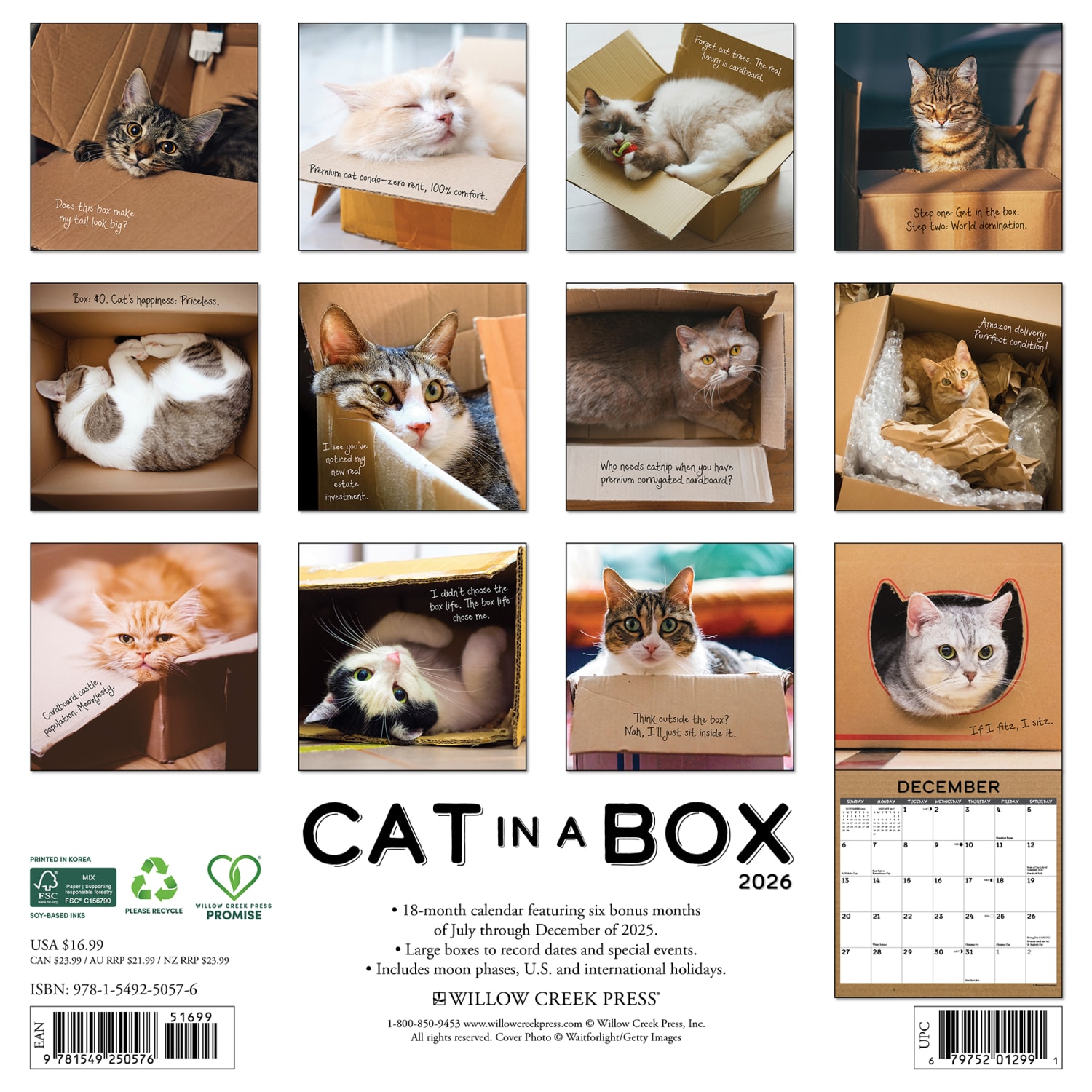 2026 Willow Creek Press Art & Design Monthly Wall Calendar, 12in x 12in, Cat in a Box, January To December, 50576 - Image 6