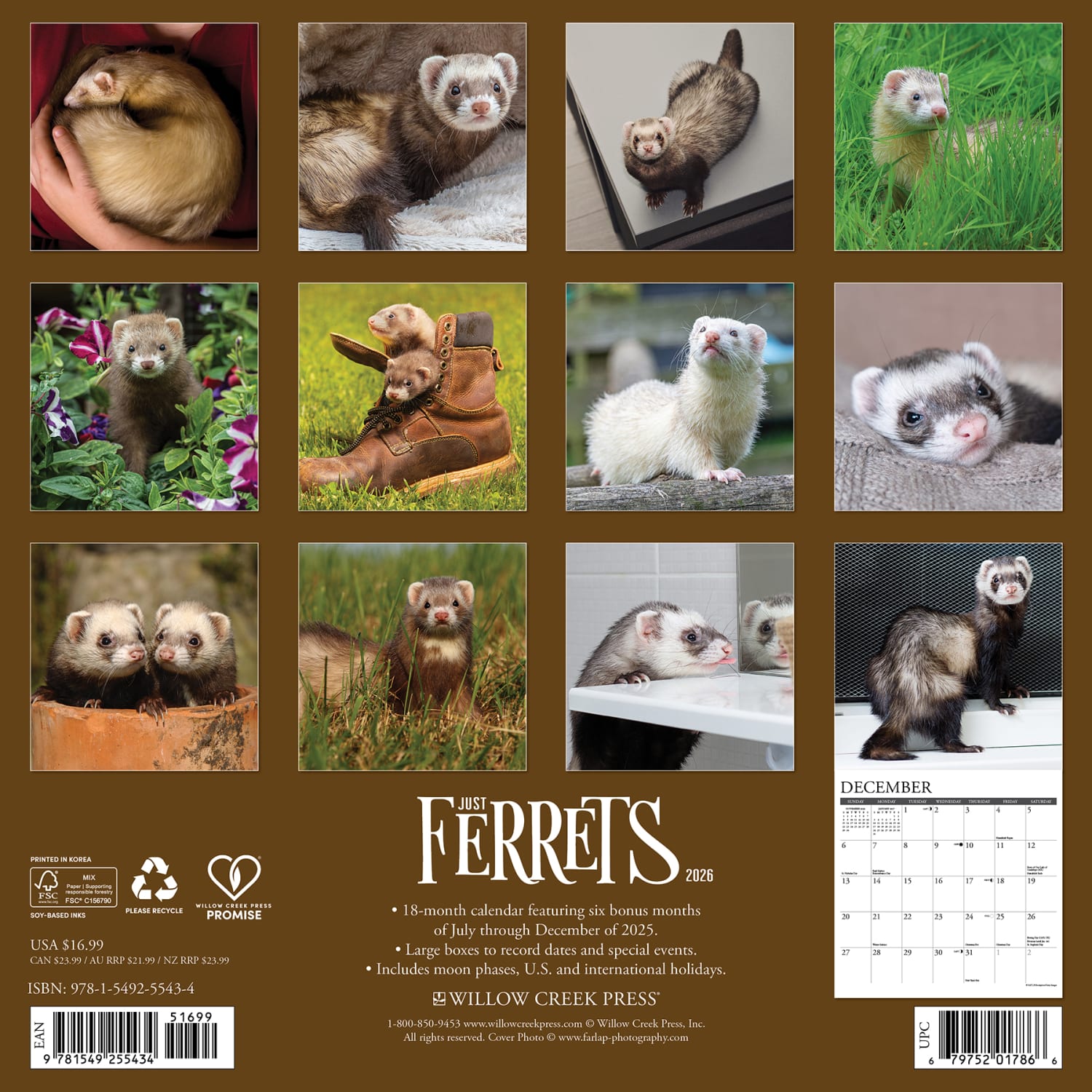 2026 Willow Creek Press Animals Monthly Wall Calendar, 12in x 12in, Ferrets, January To December, 55434 - Image 6
