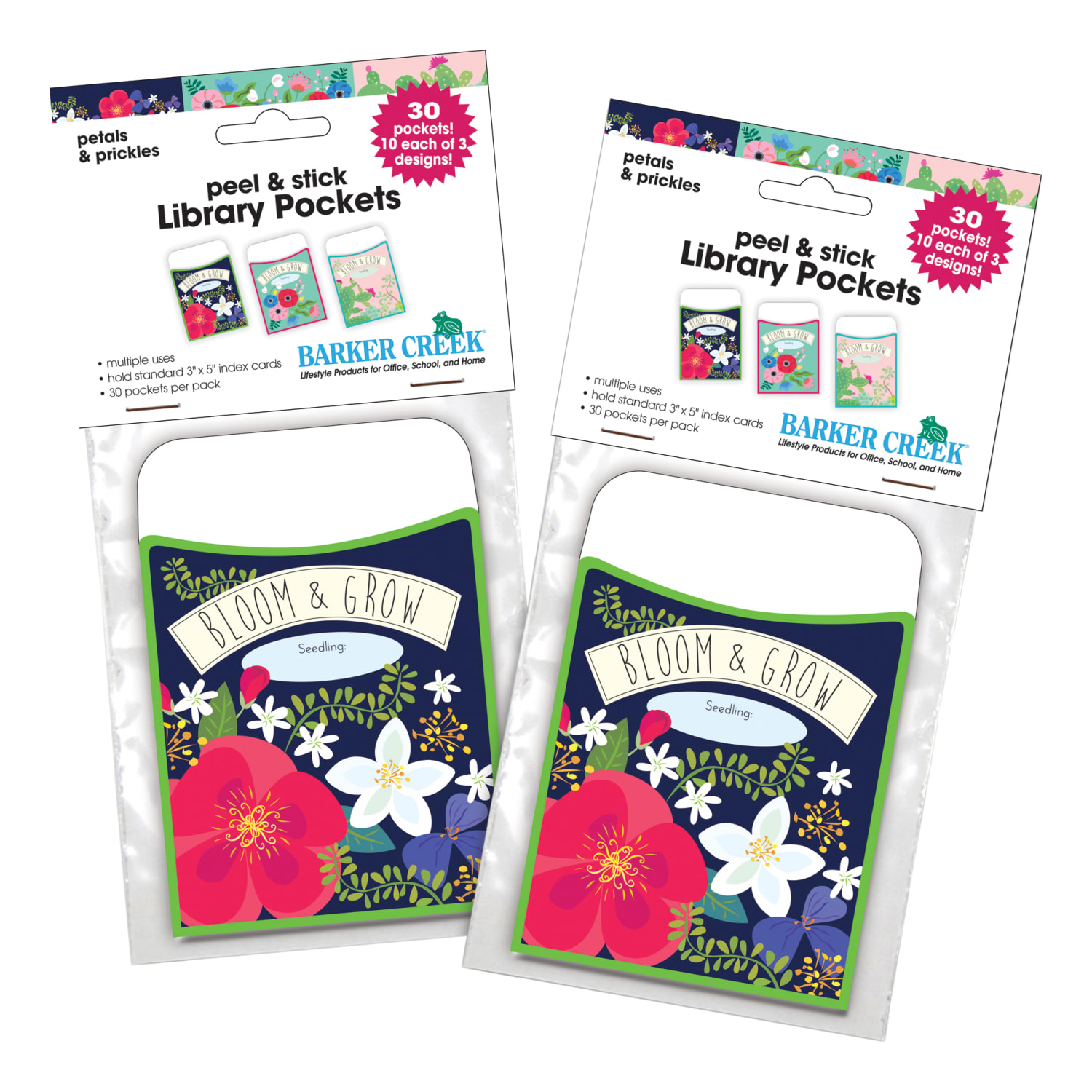 Barker Creek Peel & Stick 2-Design Pockets, 3-1/2in x 5-1/8in, Petals & Prickles, Set Of 60 - Image 3