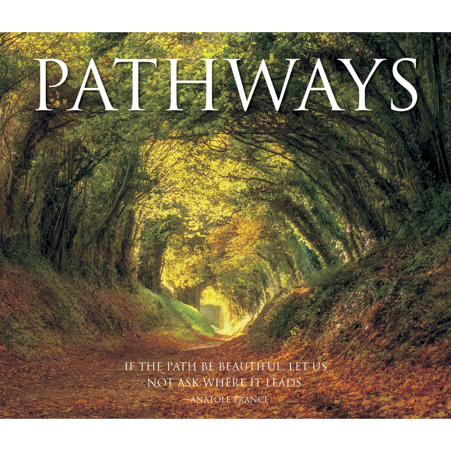 Willow Creek Press 6in x 7in Hardcover Gift Book, Pathways