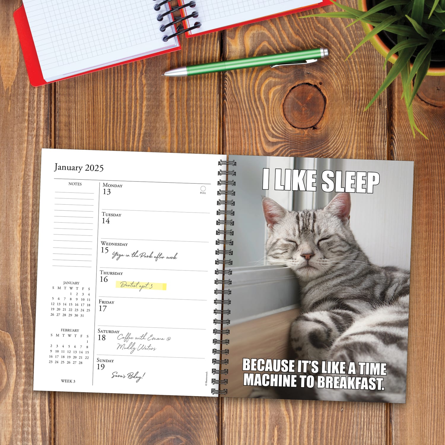 2025 Willow Creek Press Weekly Engagement Planner, 6-1/2in x 8-1/2in, Cat-astrophe, January 2025 To December 2025, 46104 - Image 3