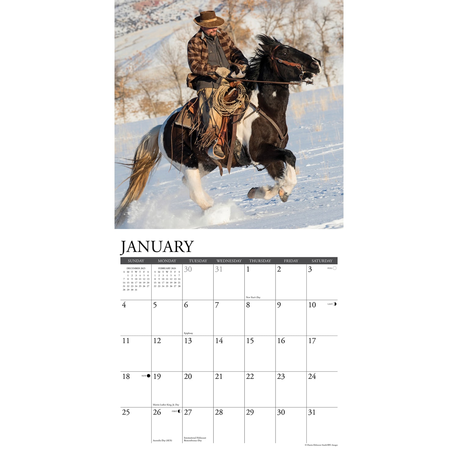 2026 Willow Creek Press Sports Monthly Wall Calendar, 12in x 12in, Cowboys, January To December, 50880 - Image 3