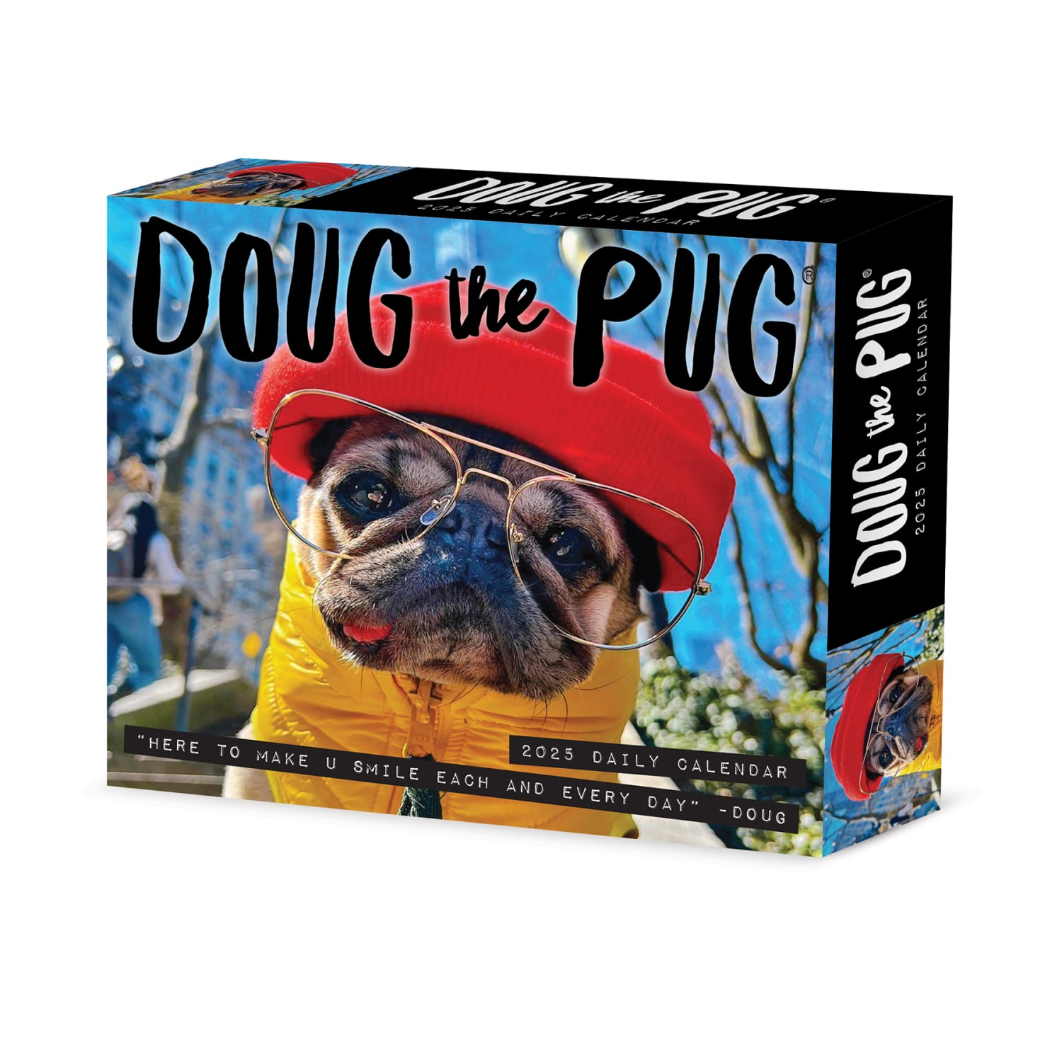 2025 Willow Creek Press Daily Desk Box Calendar, Animals, 5-1/2in x 6-1/4in, Doug the Pug, January To December, 40829