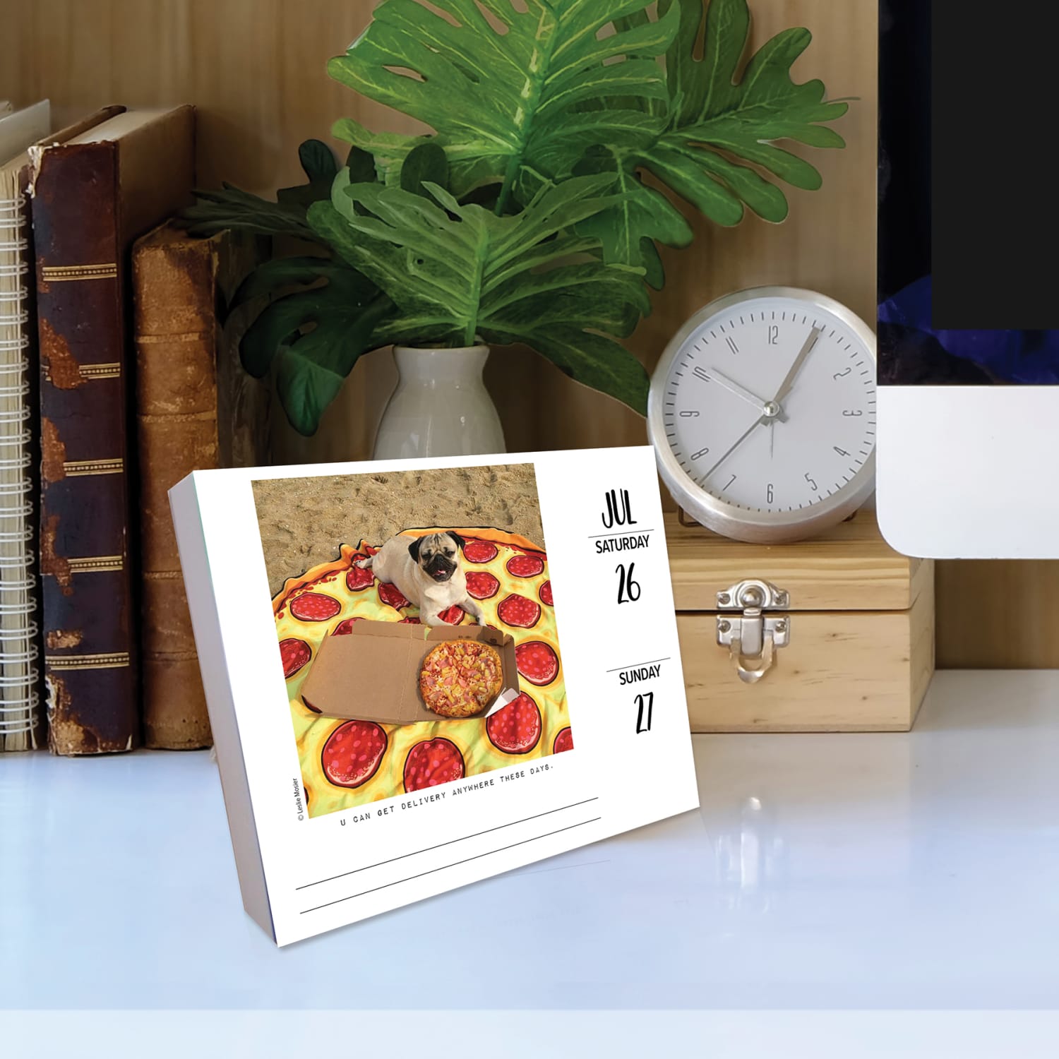 2025 Willow Creek Press Daily Desk Box Calendar, Animals, 5-1/2in x 6-1/4in, Doug the Pug, January To December, 40829 - Image 4