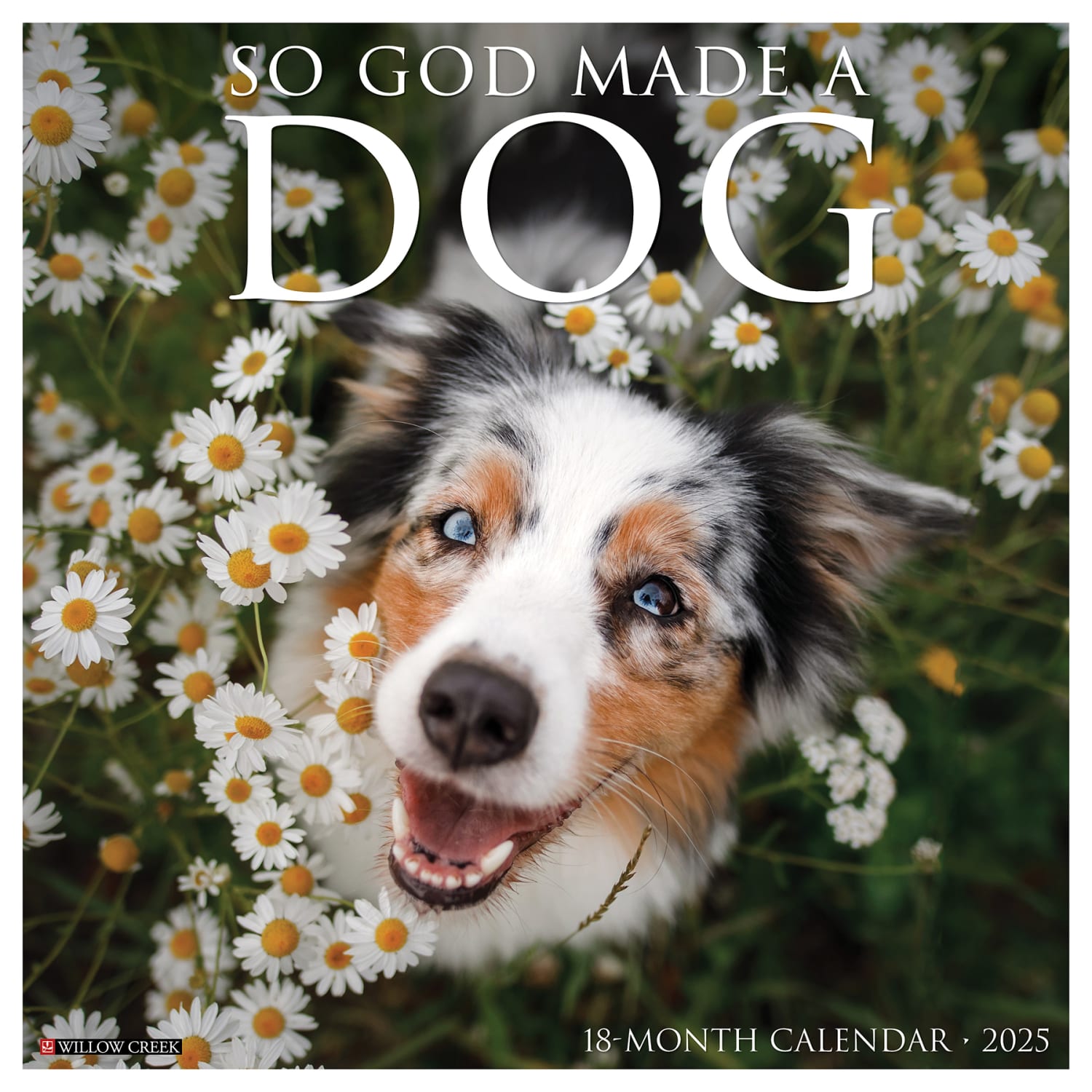 2025 Willow Creek Press Monthly Wall Calendar, 12in x 12in, So God Made a Dog, January 2025 to December 2025, 44971