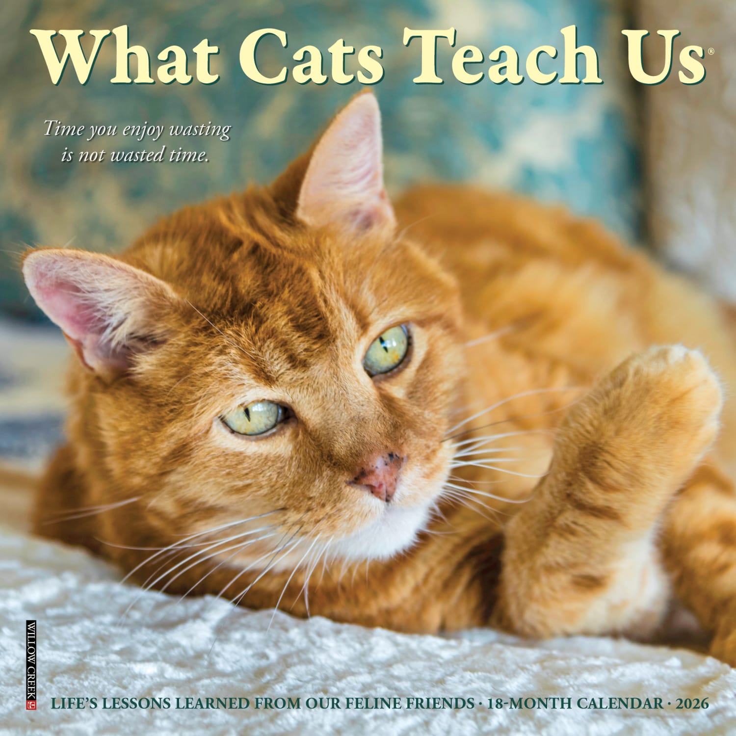 2026 Willow Creek Press Monthly Mini Wall Calendar, 7in x 7in, What Cats Teach Us, January To December, 53829