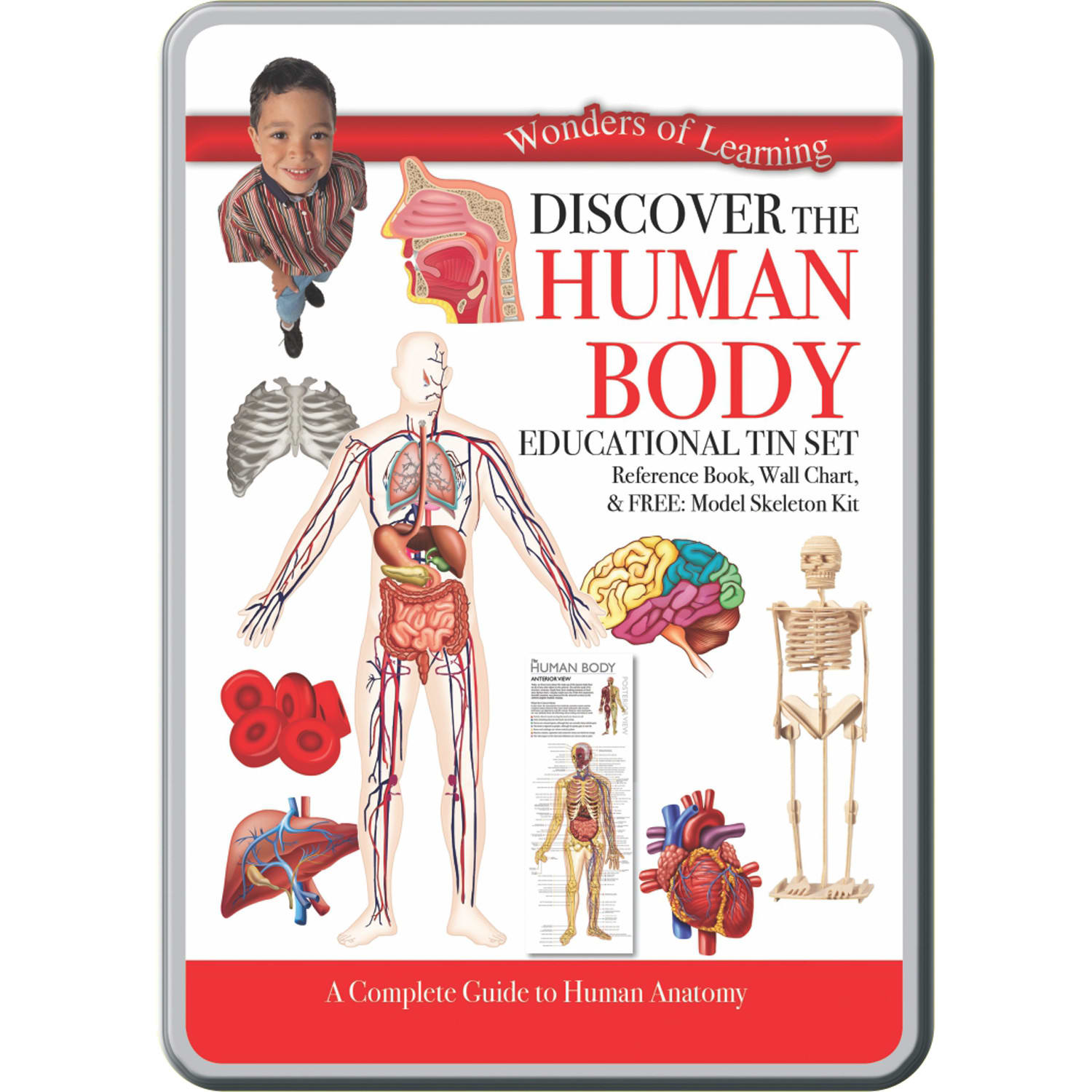Wonders Of Learning Tin Set, Discover the Human Body - Image 3