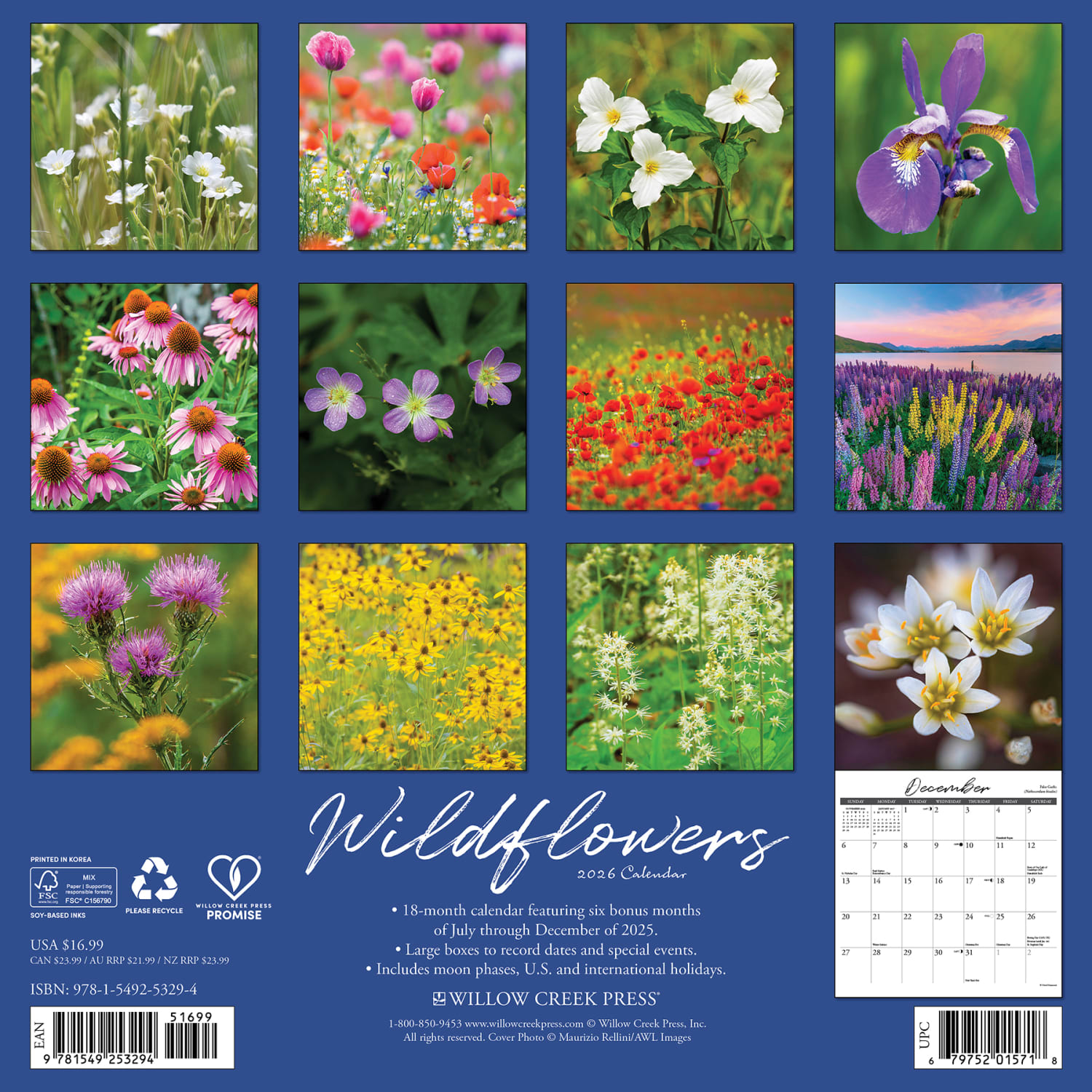 2026 Willow Creek Press Scenic Monthly Wall Calendar, 12in x 12in, Wildflowers, January To December, 53294 - Image 6