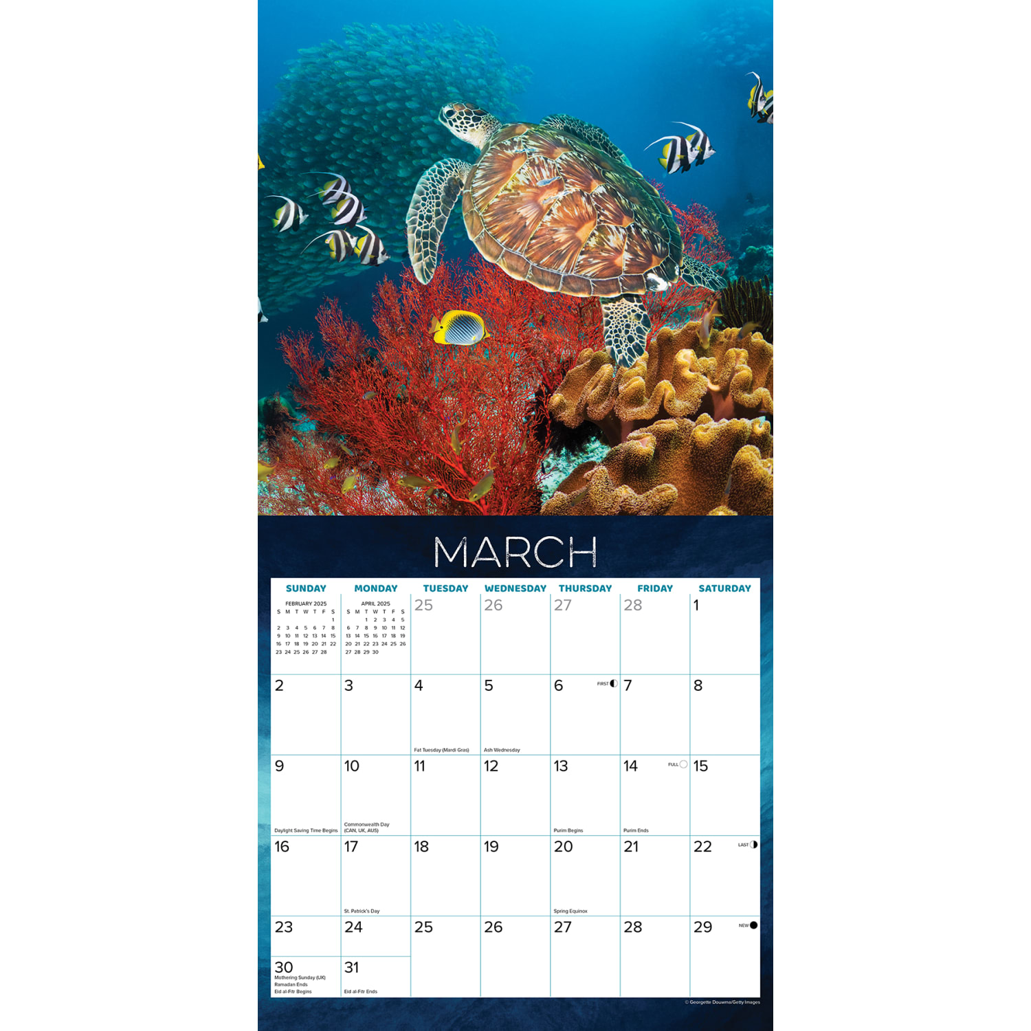 2025 Willow Creek Press Monthly Wall Calendar, 12in x 12in, Sea Turtles, January 2025 to December 2025, 44780 - Image 3