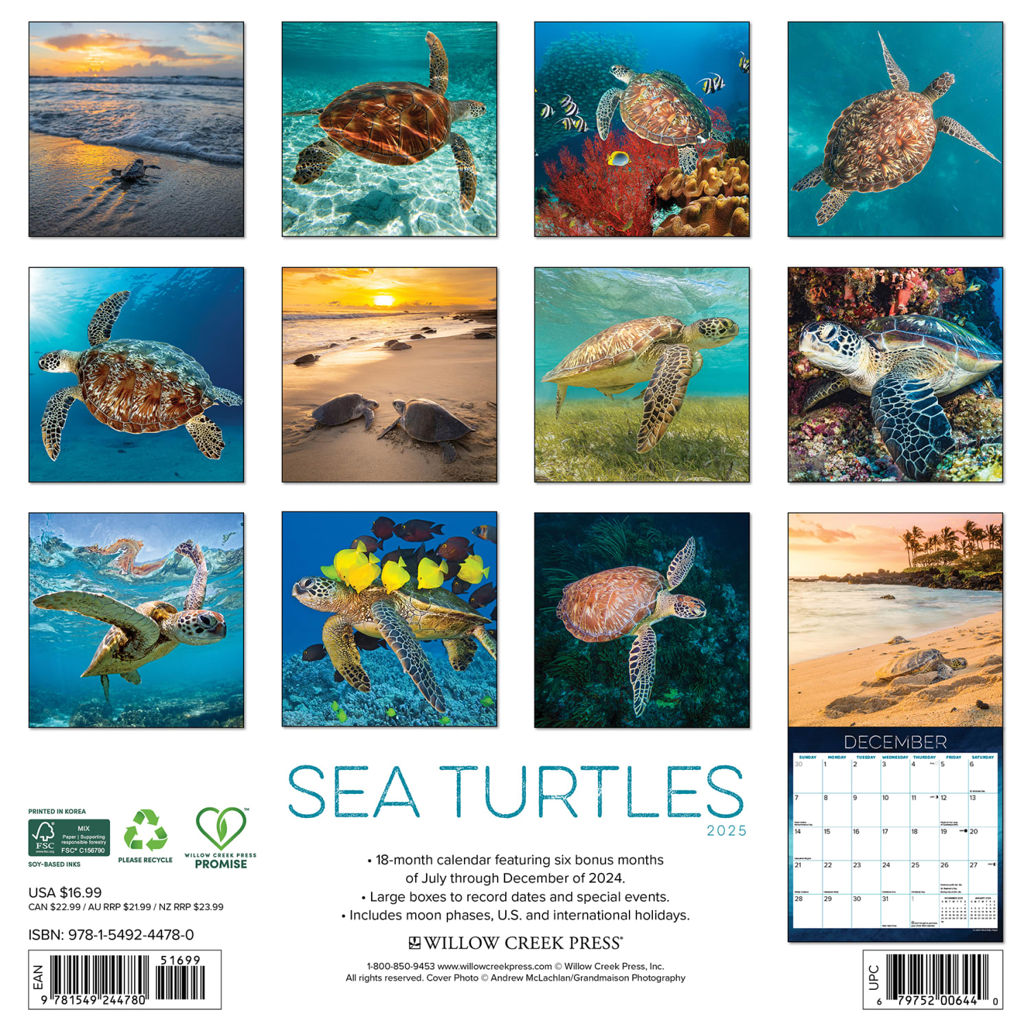 2025 Willow Creek Press Monthly Wall Calendar, 12in x 12in, Sea Turtles, January 2025 to December 2025, 44780 - Image 6