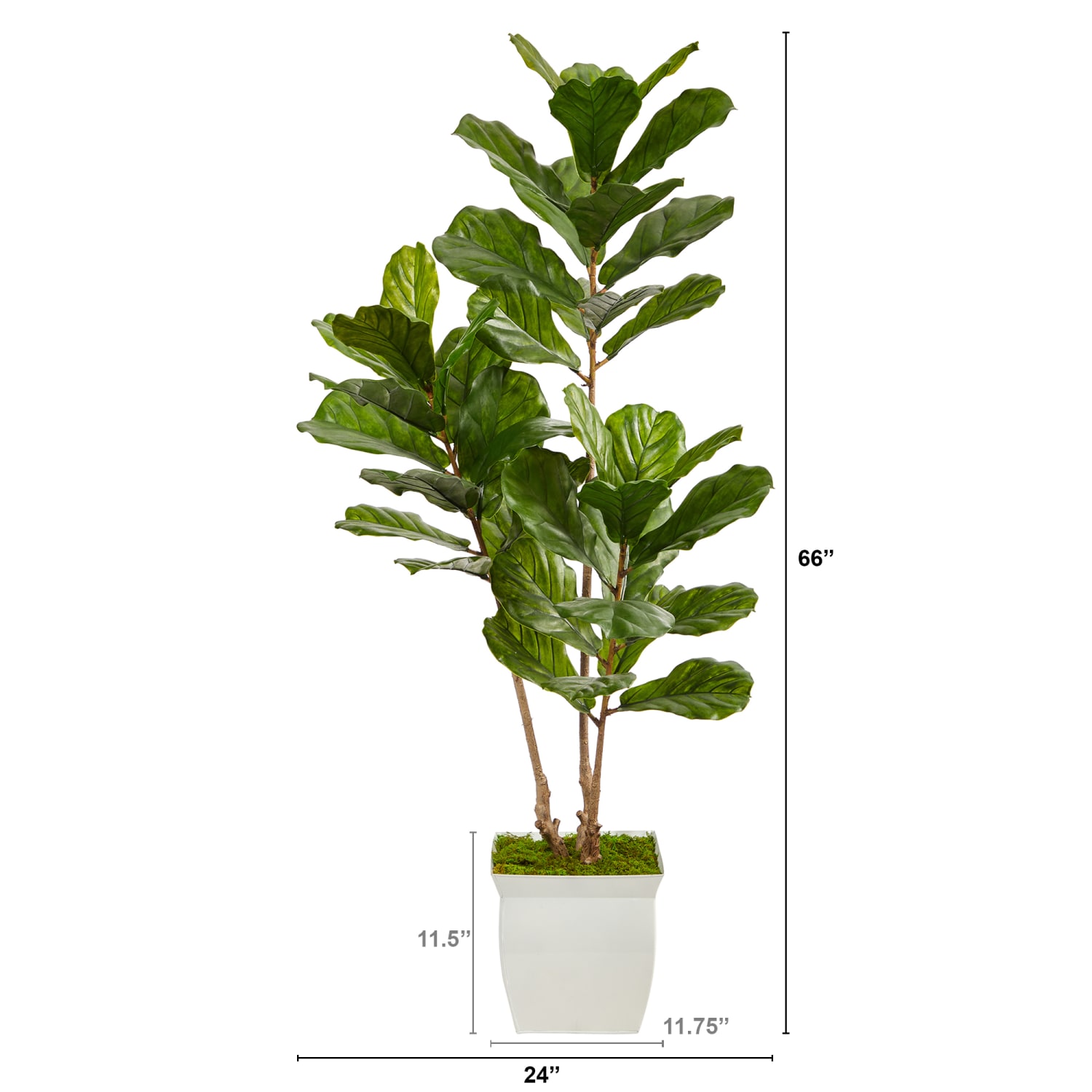 Nearly Natural Fiddle Leaf 66inH Artificial Tree With Metal Planter, 66inH x 24inW x 20inD, Green/White - Image 3