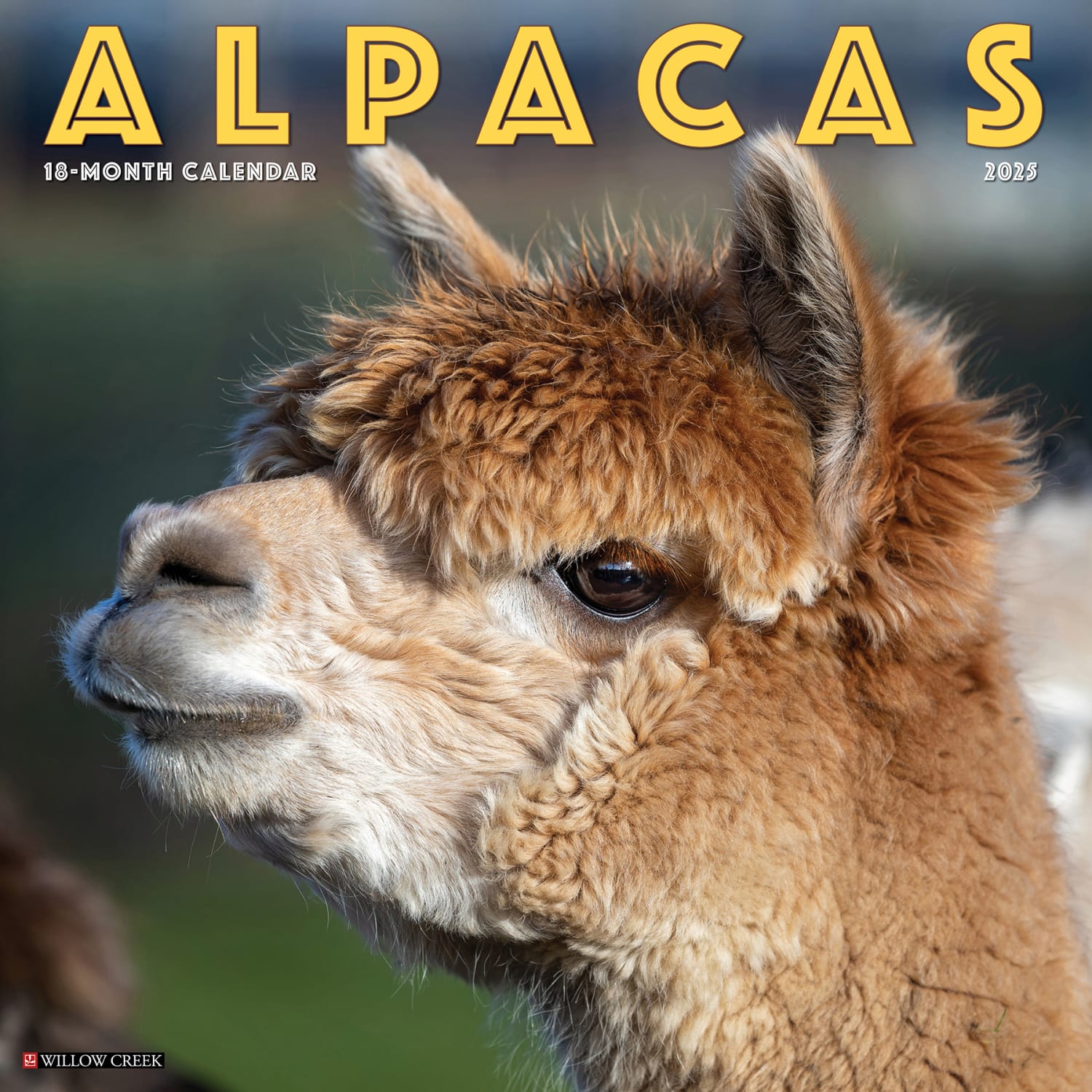 2025 Willow Creek Press Animals Wall Calendar, 12in x 12in, Alpacas, January To December, 41291