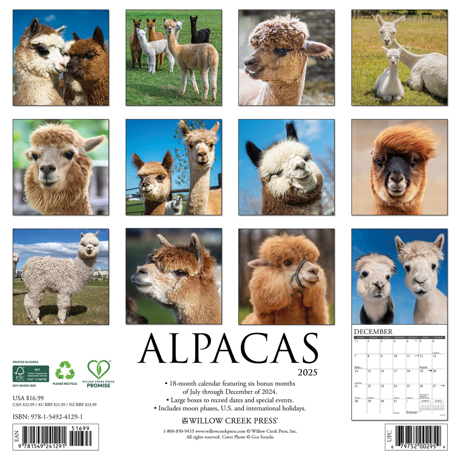 2025 Willow Creek Press Animals Wall Calendar, 12in x 12in, Alpacas, January To December, 41291 - Image 6