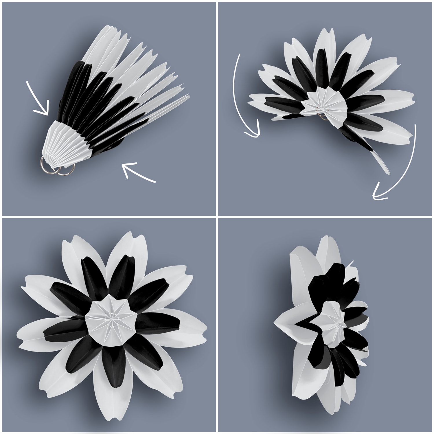 Teacher Created Resources Paper Flowers, Black/White, Pack Of 4 Flowers - Image 4