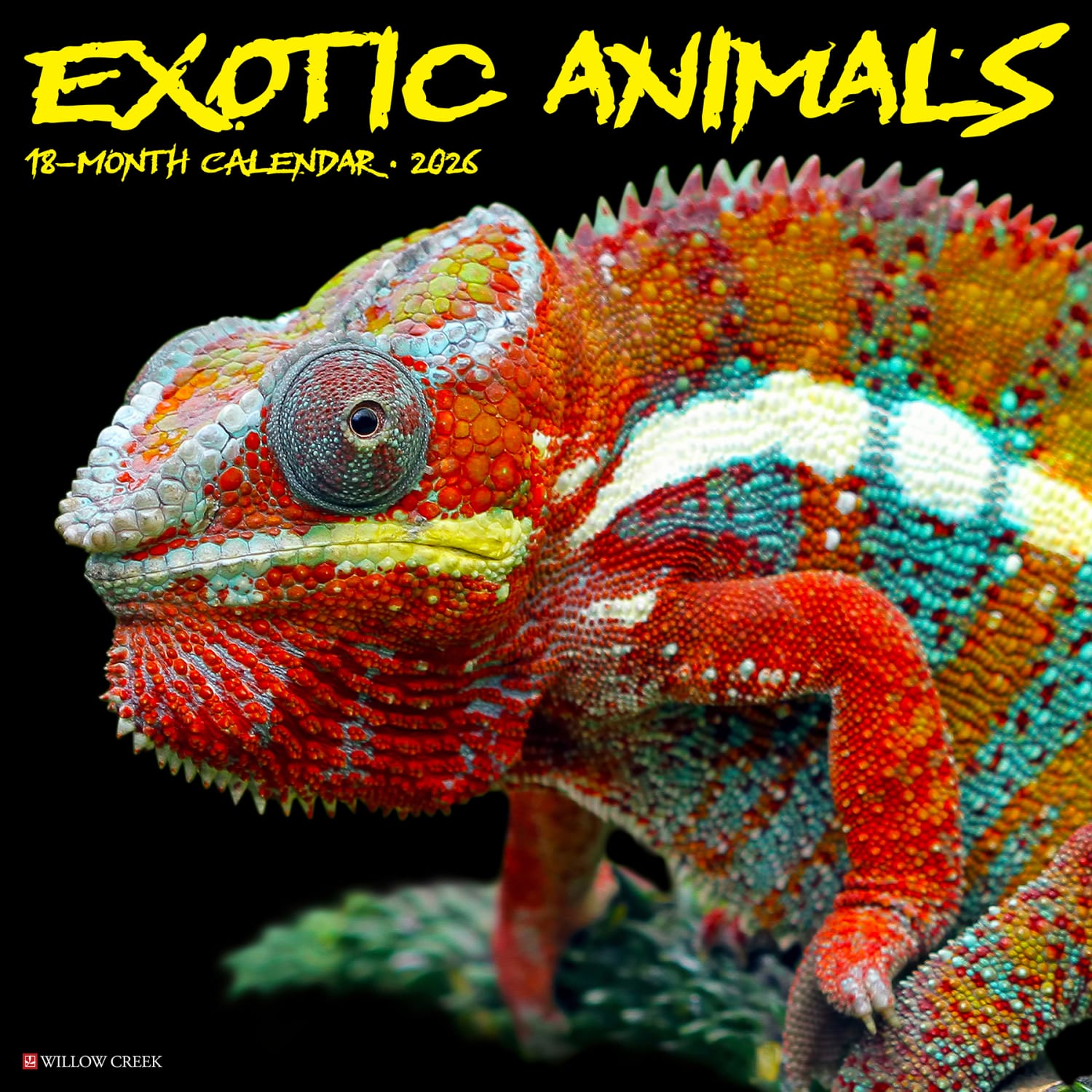2026 Willow Creek Press Animals Monthly Wall Calendar, 12in x 12in, Exotic Animals, January To December, 55779 - Image 3