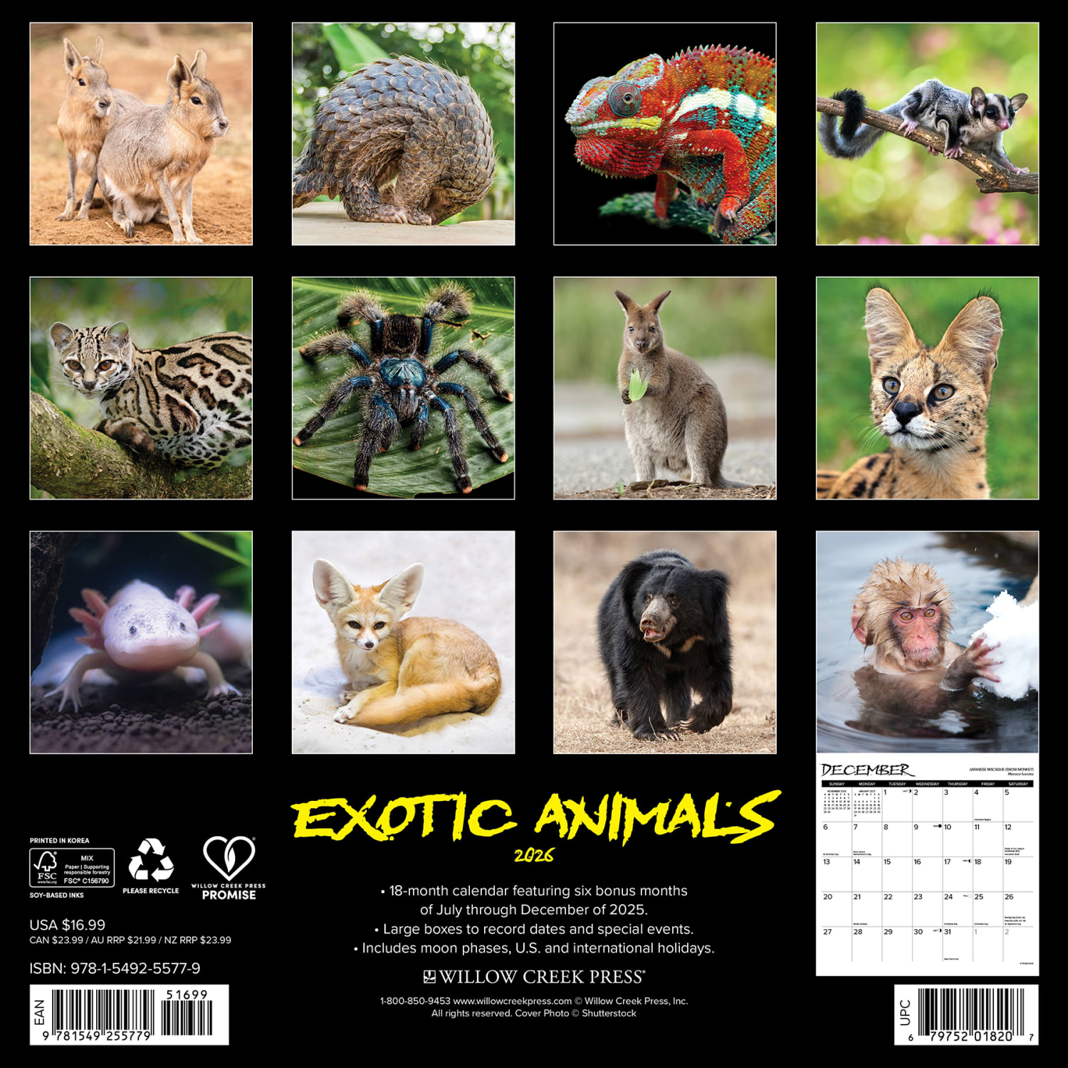 2026 Willow Creek Press Animals Monthly Wall Calendar, 12in x 12in, Exotic Animals, January To December, 55779 - Image 6