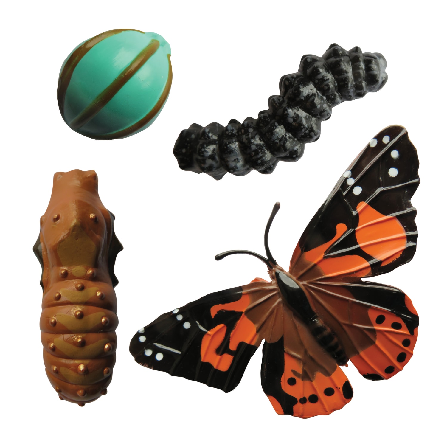Insect Lore Butterfly Life Cycle Stages, Pre-K - Grade 6 - Image 3