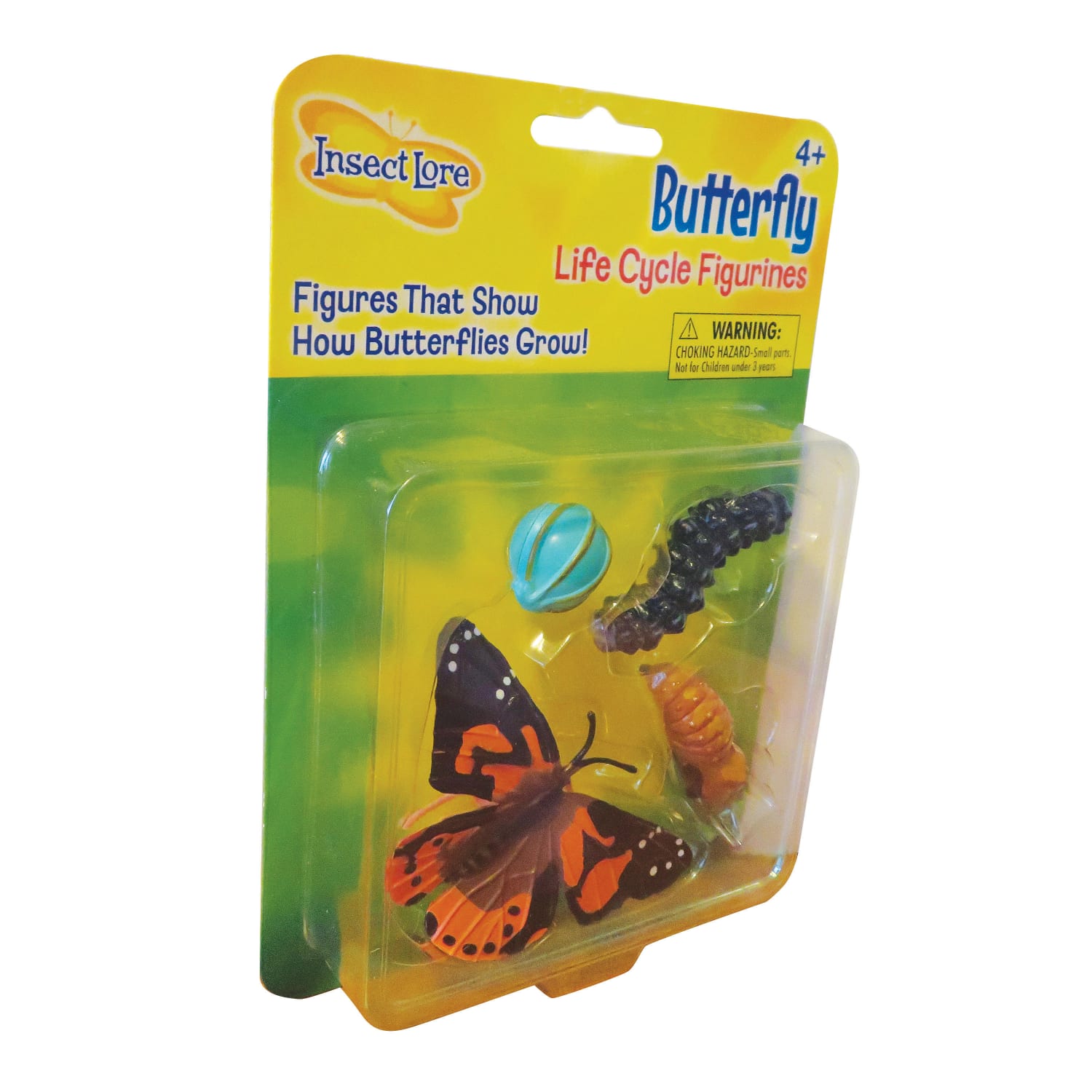 Insect Lore Butterfly Life Cycle Stages, Pre-K - Grade 6 - Image 4