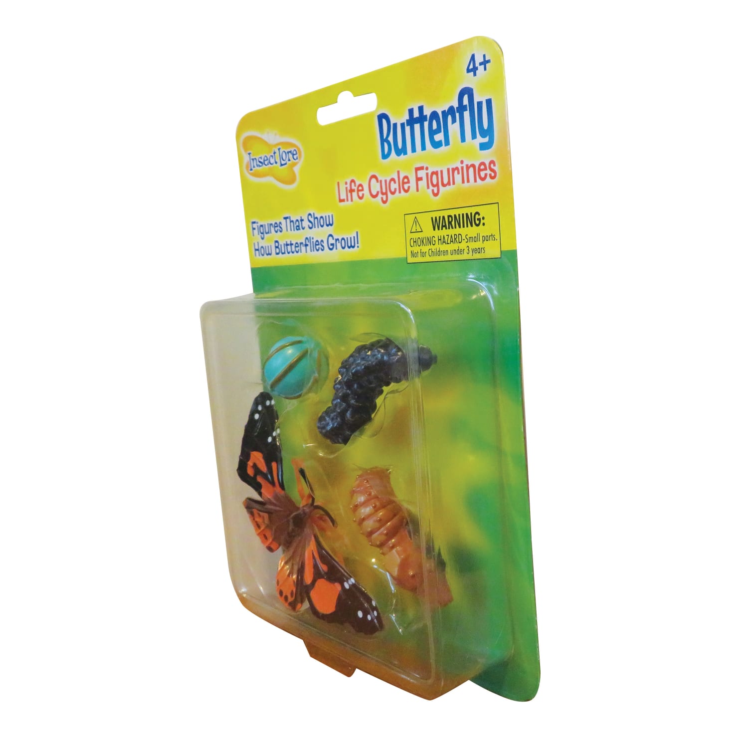 Insect Lore Butterfly Life Cycle Stages, Pre-K - Grade 6 - Image 5