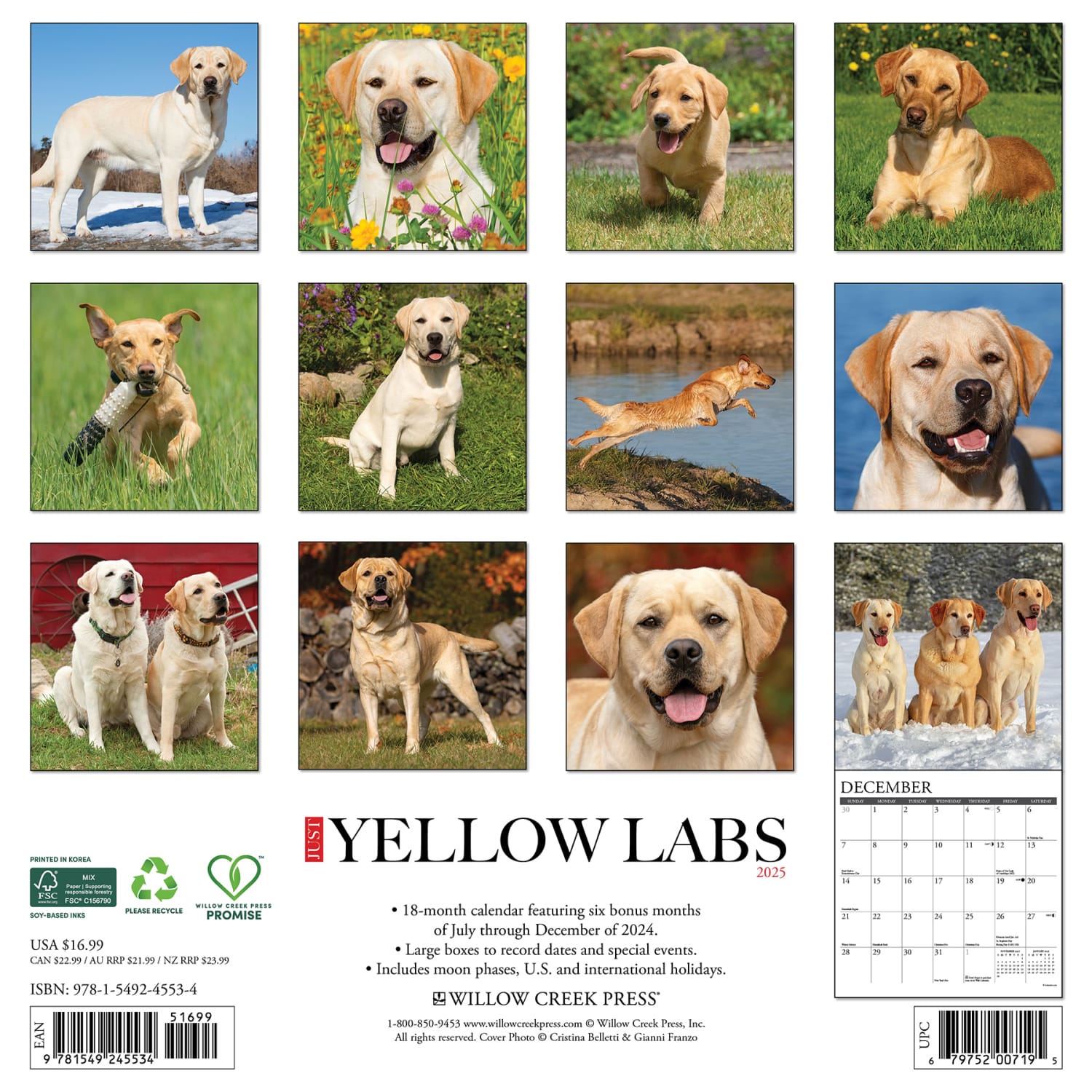 2025 Willow Creek Press Monthly Wall Calendar, 12in x 12in, Yellow Labs, January 2025 to December 2025, 45534 - Image 6