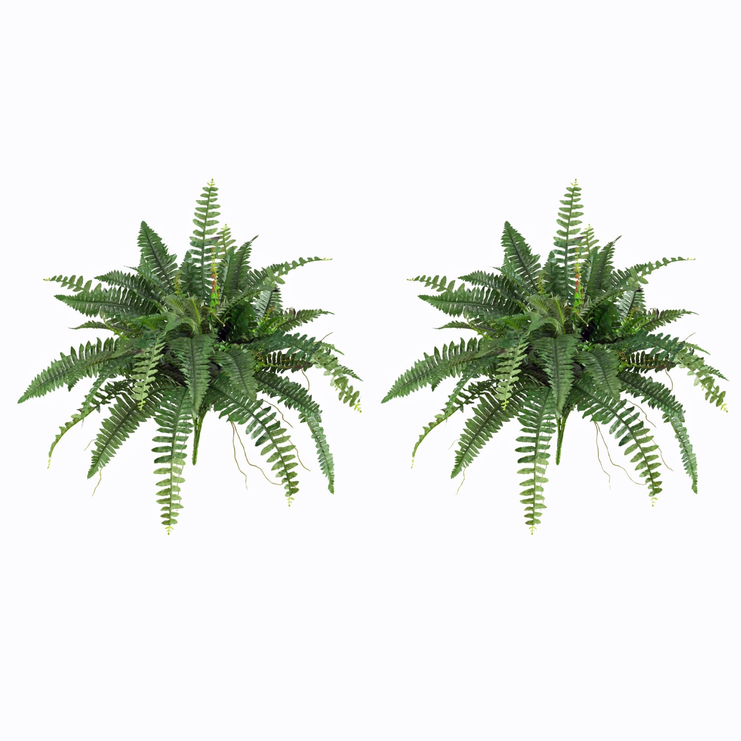 Nearly Natural 15inH Polyester Boston Fern Plants, Green, Set Of 2 Plants