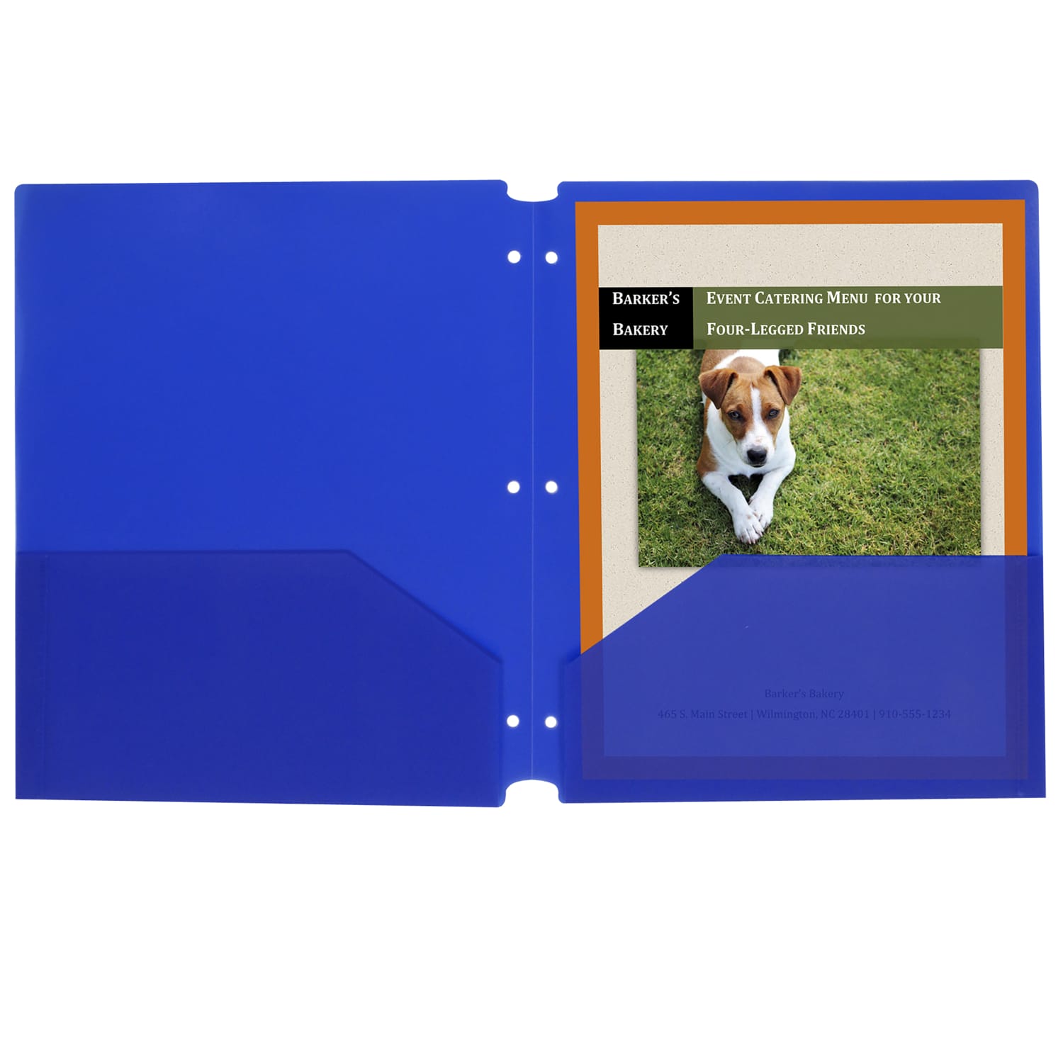 C-Line 2-Pocket 3-Hole Punch Poly Folders, Letter Size, Blue, Pack Of 25 Folders - Image 3