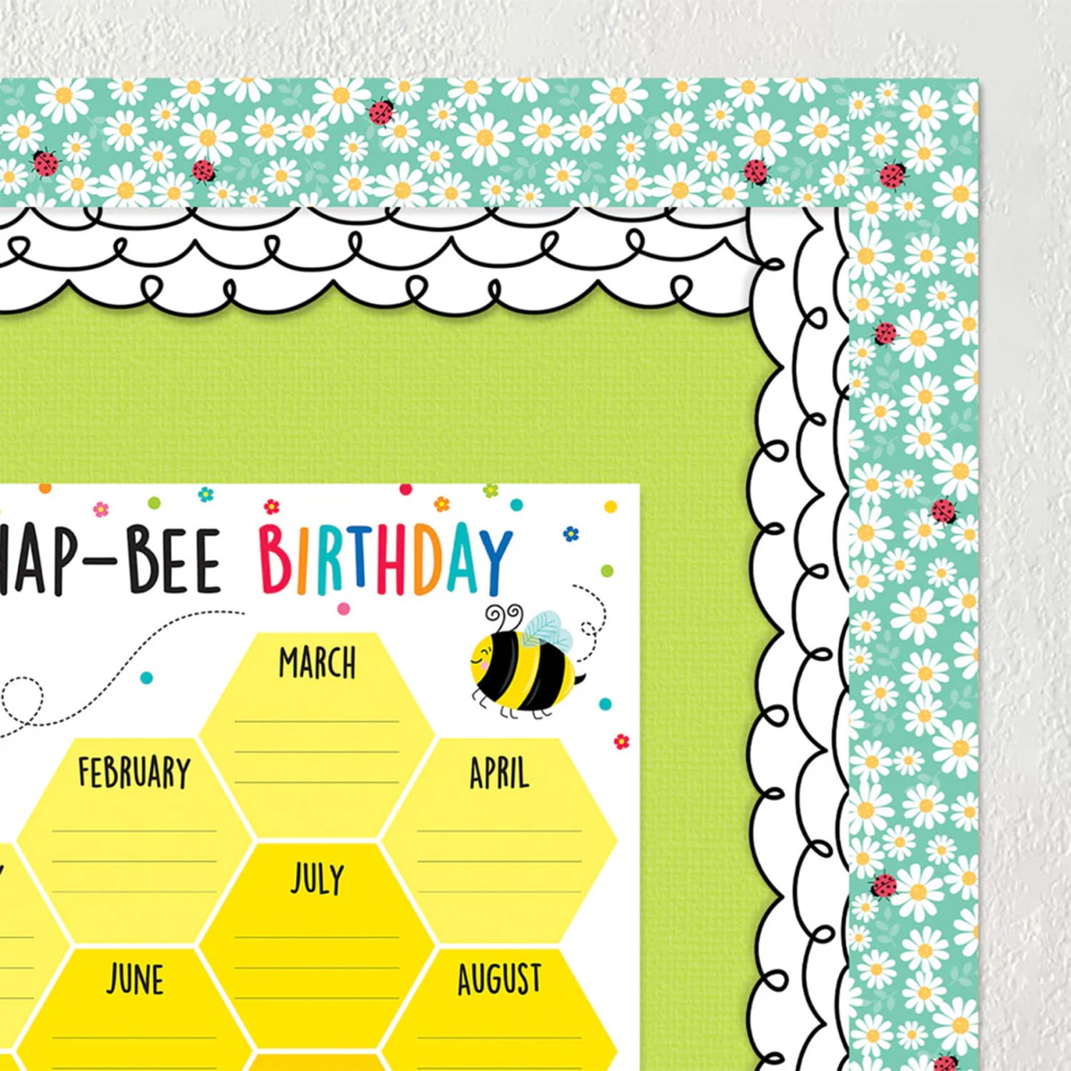 Creative Teaching Press EZ Border, 3in x 24in Strips, Core Decor Daisy Bug, 48 Feet Per Pack, Set Of 3 Packs - Image 6