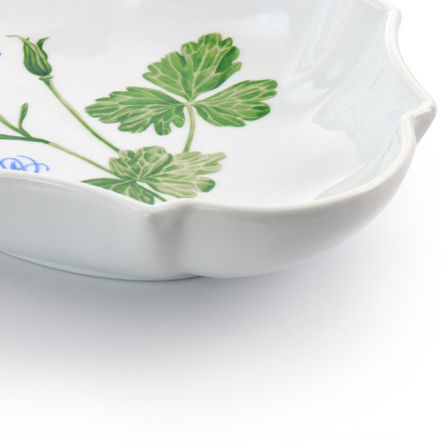 Martha Stewart Botanical Garden Fine Ceramic Serving Platter, 13in, White - Image 4