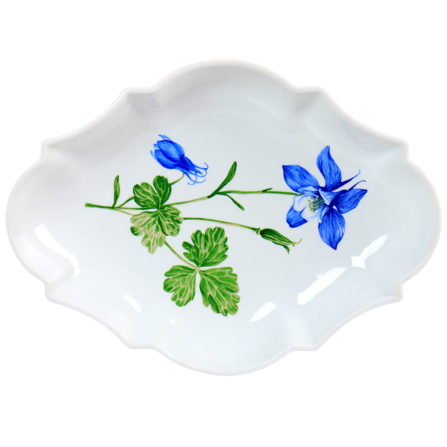 Martha Stewart Botanical Garden Fine Ceramic Serving Platter, 13in, White - Image 5