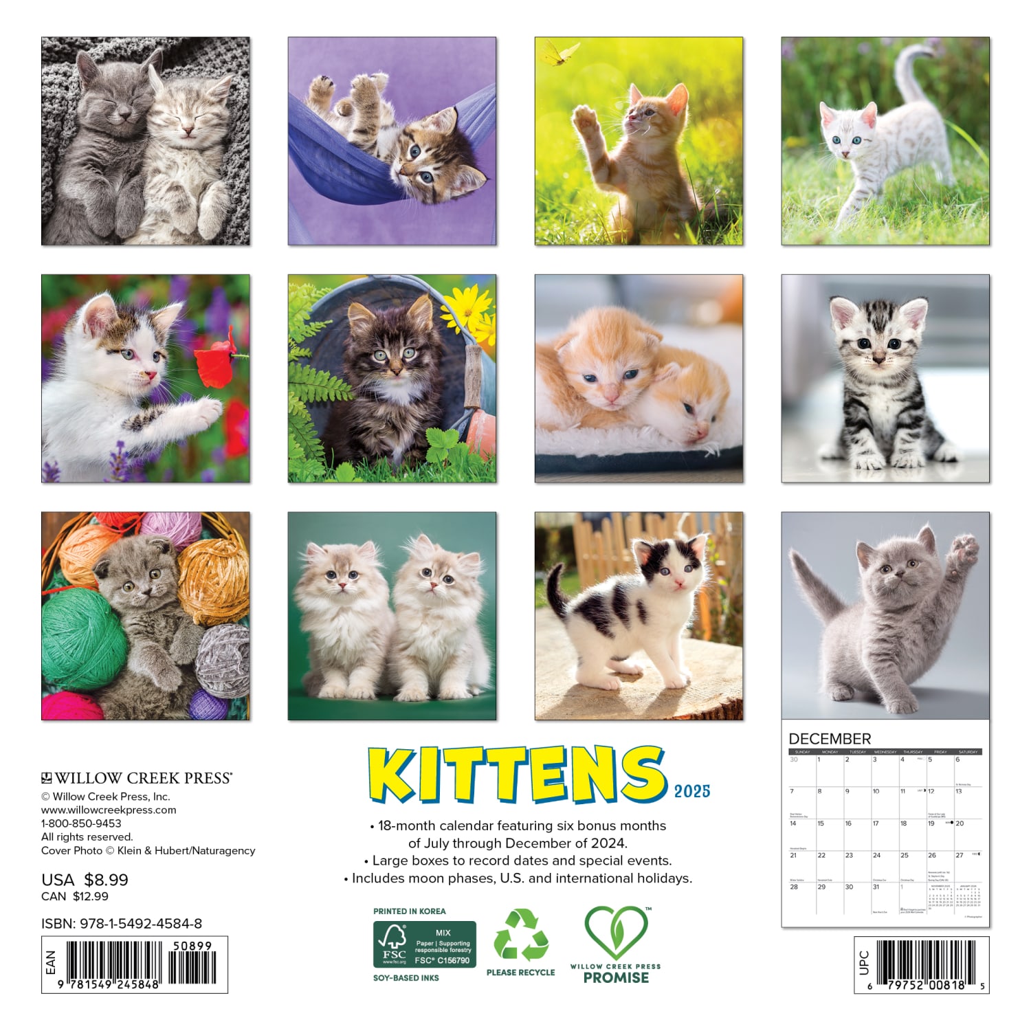 2025 Willow Creek Press Mini Wall Calendar, 7in x 7in, Kittens, January 2025 To December 2025, 45848 - Image 6