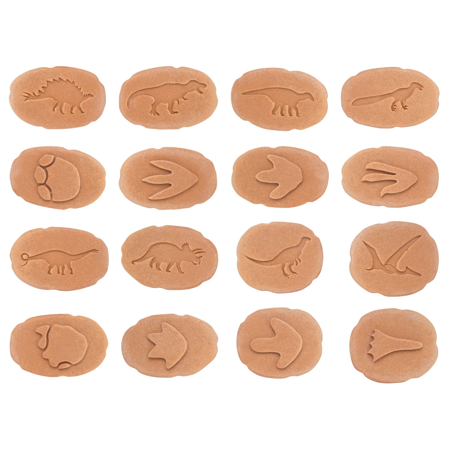 Yellow Door Lets Investigate Dinosaur Footprints, Pack Of 8 Stones - Image 4